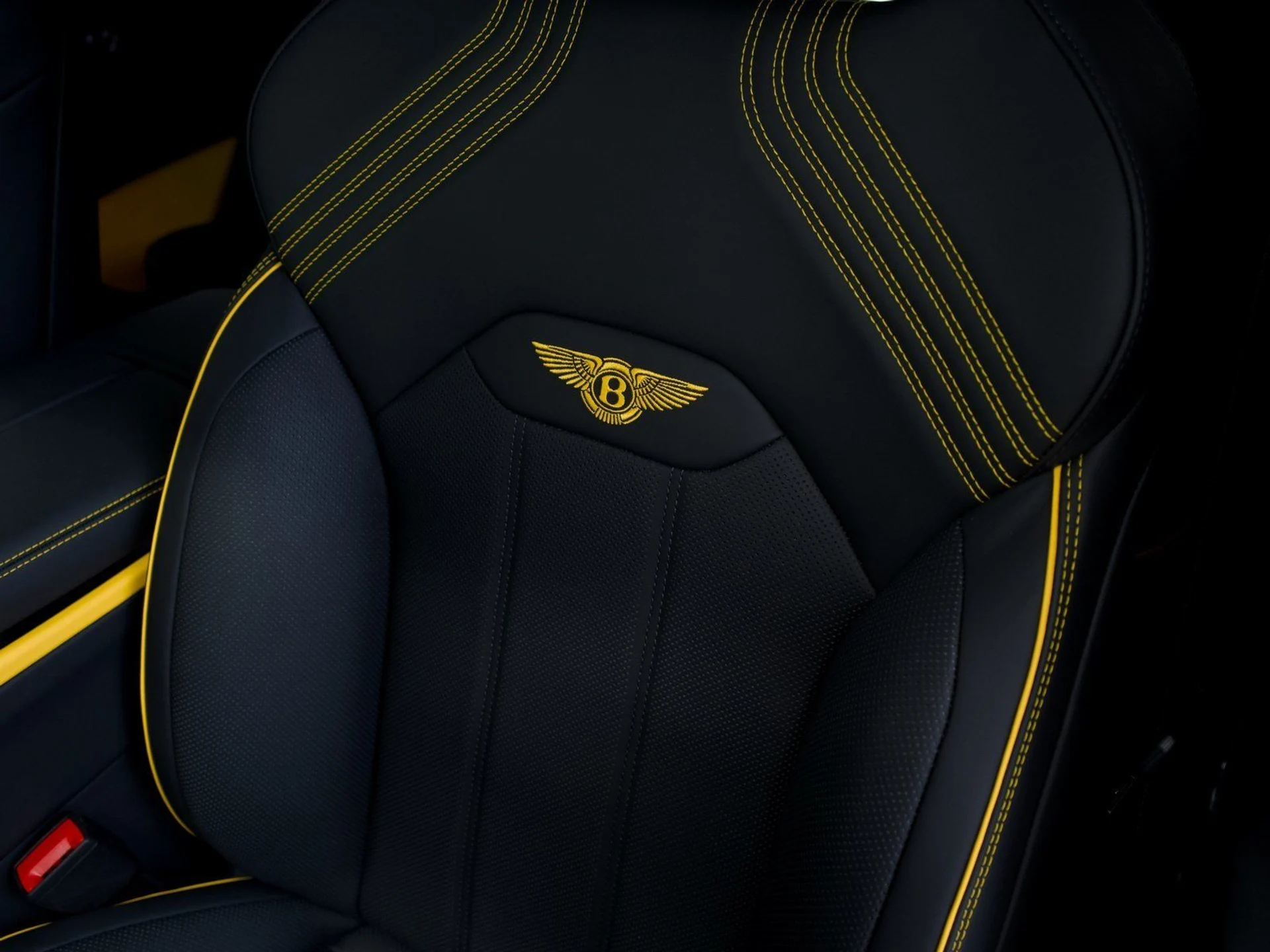 mph017_146517471_c88a7531be3bf71621633f9ccf9daeed_343f31a393