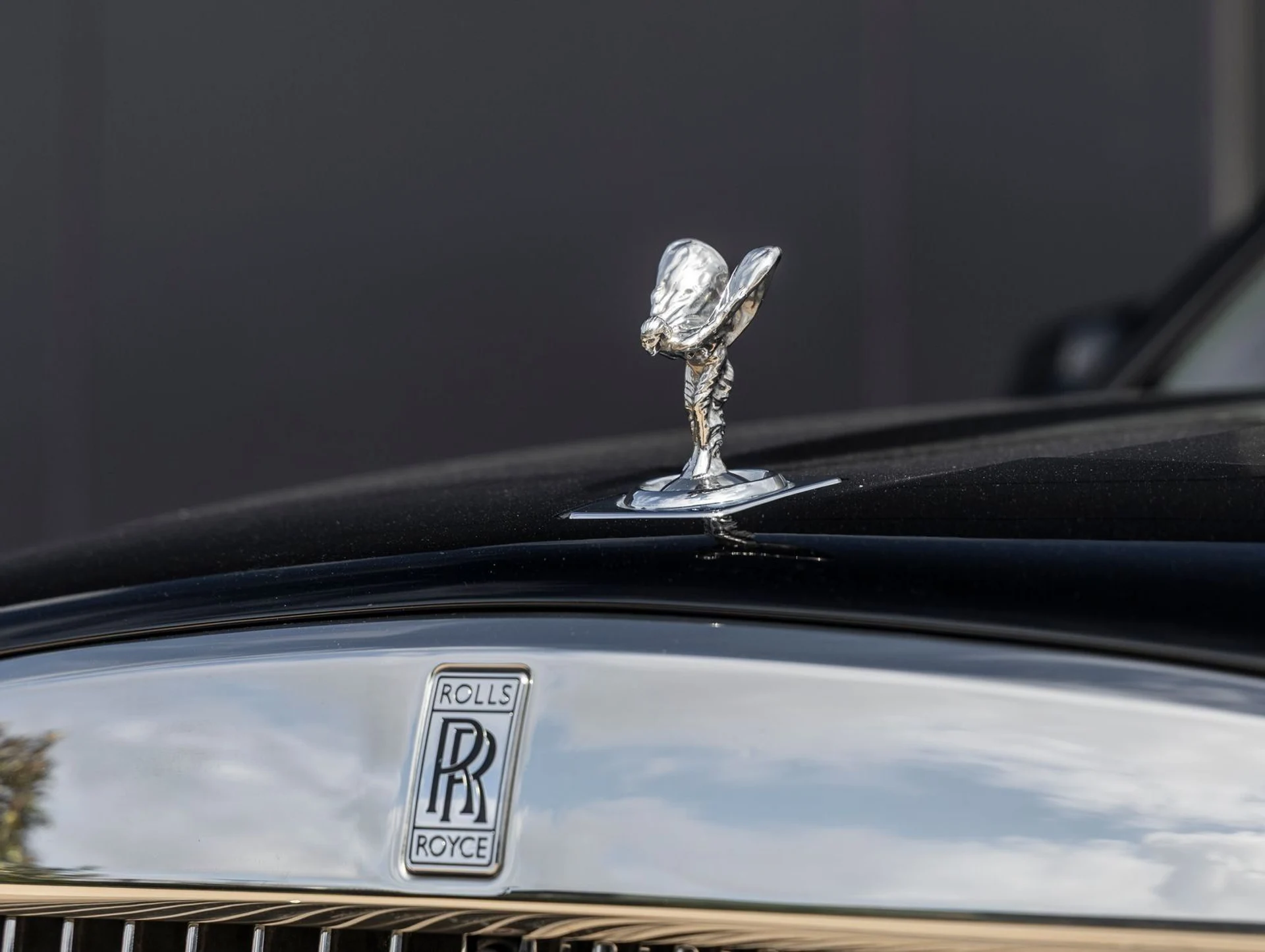 mph017_1542645766_18_49e75b4ce6