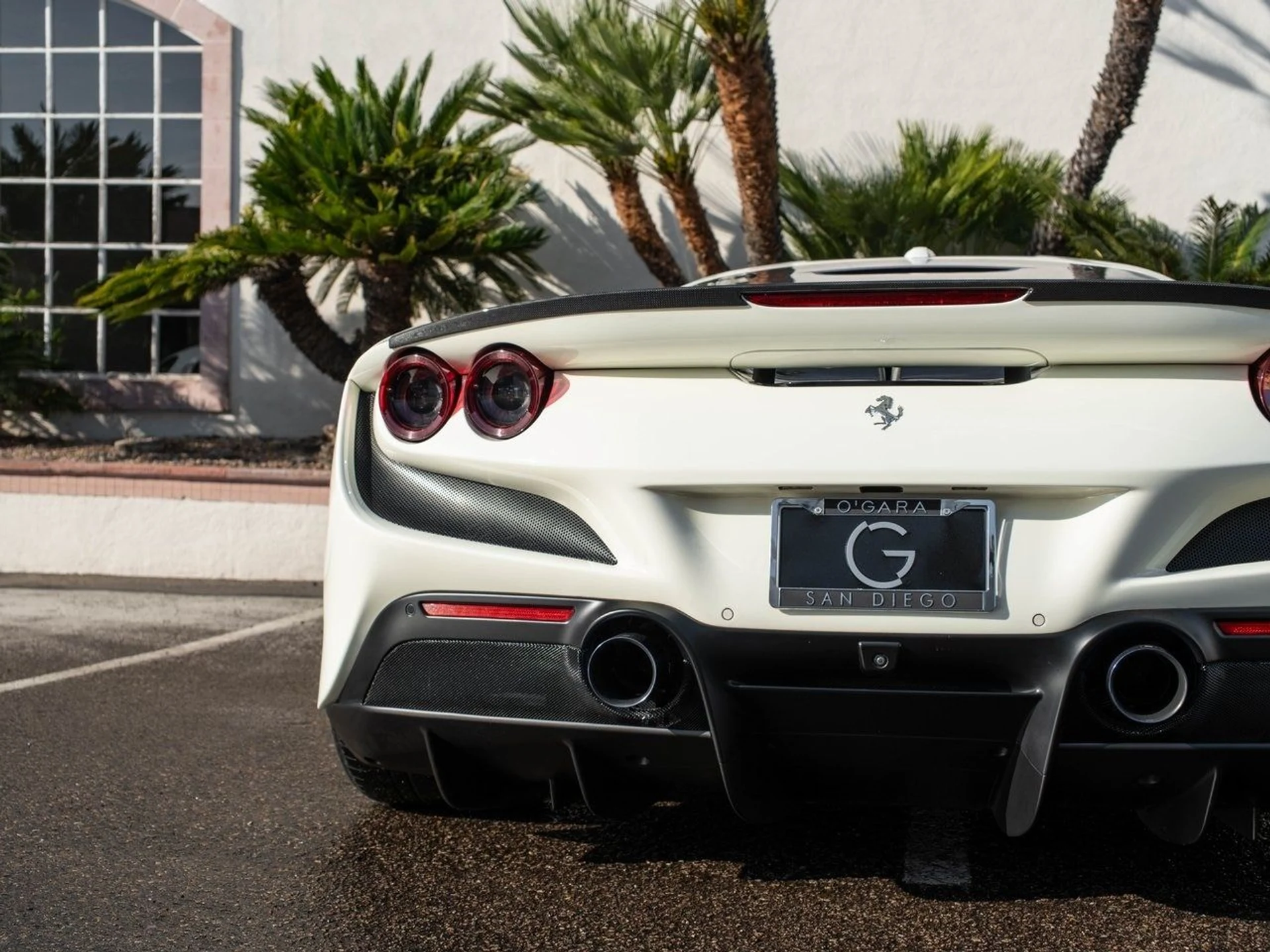 mph017_154436365_1fee857b5742751b96498a449f3b3052x_84de841a86