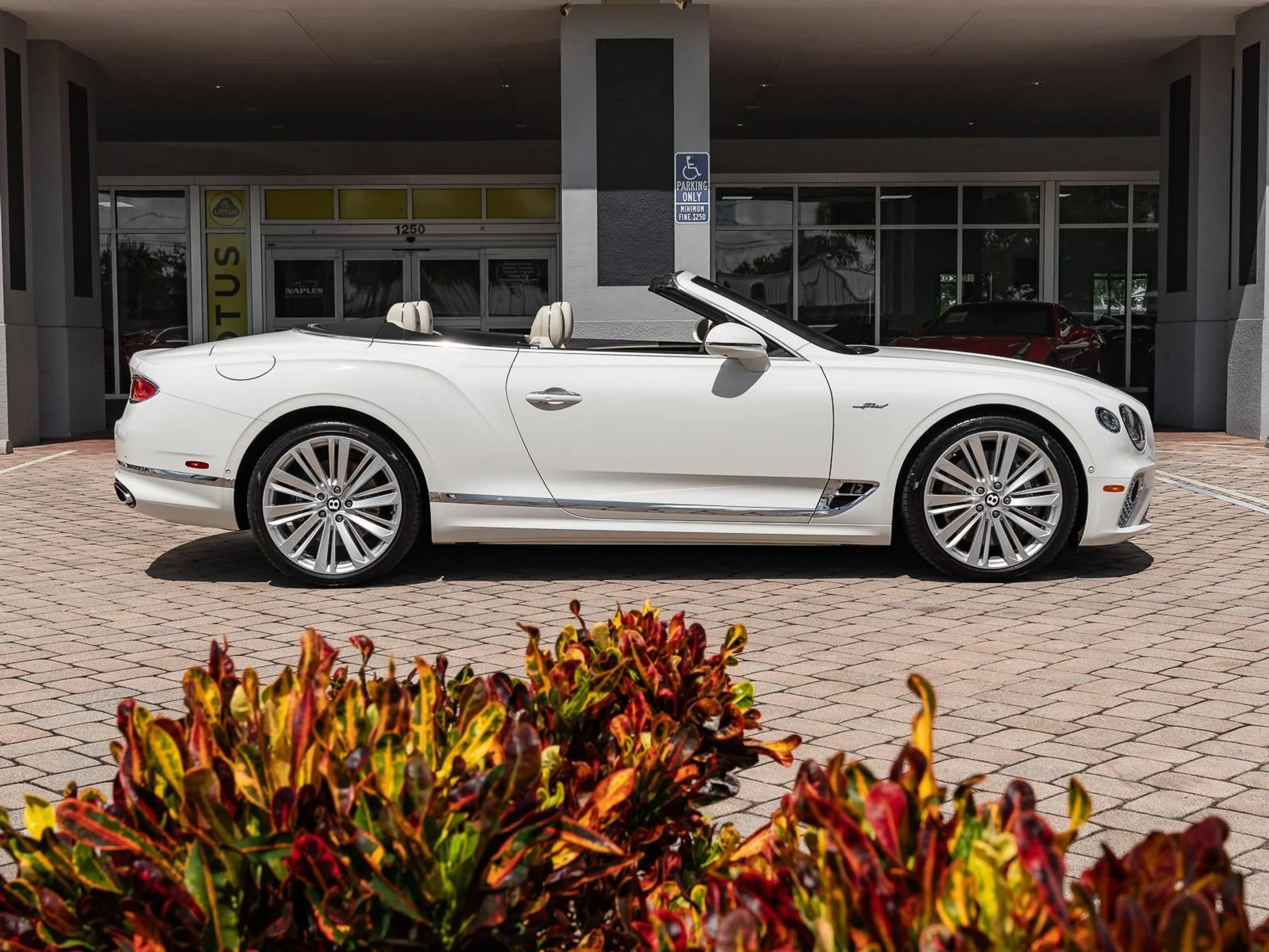 mph017_1545050544_Used_2022_Bentley_Continental_GT_Speed_1755029162_0935a5fef1