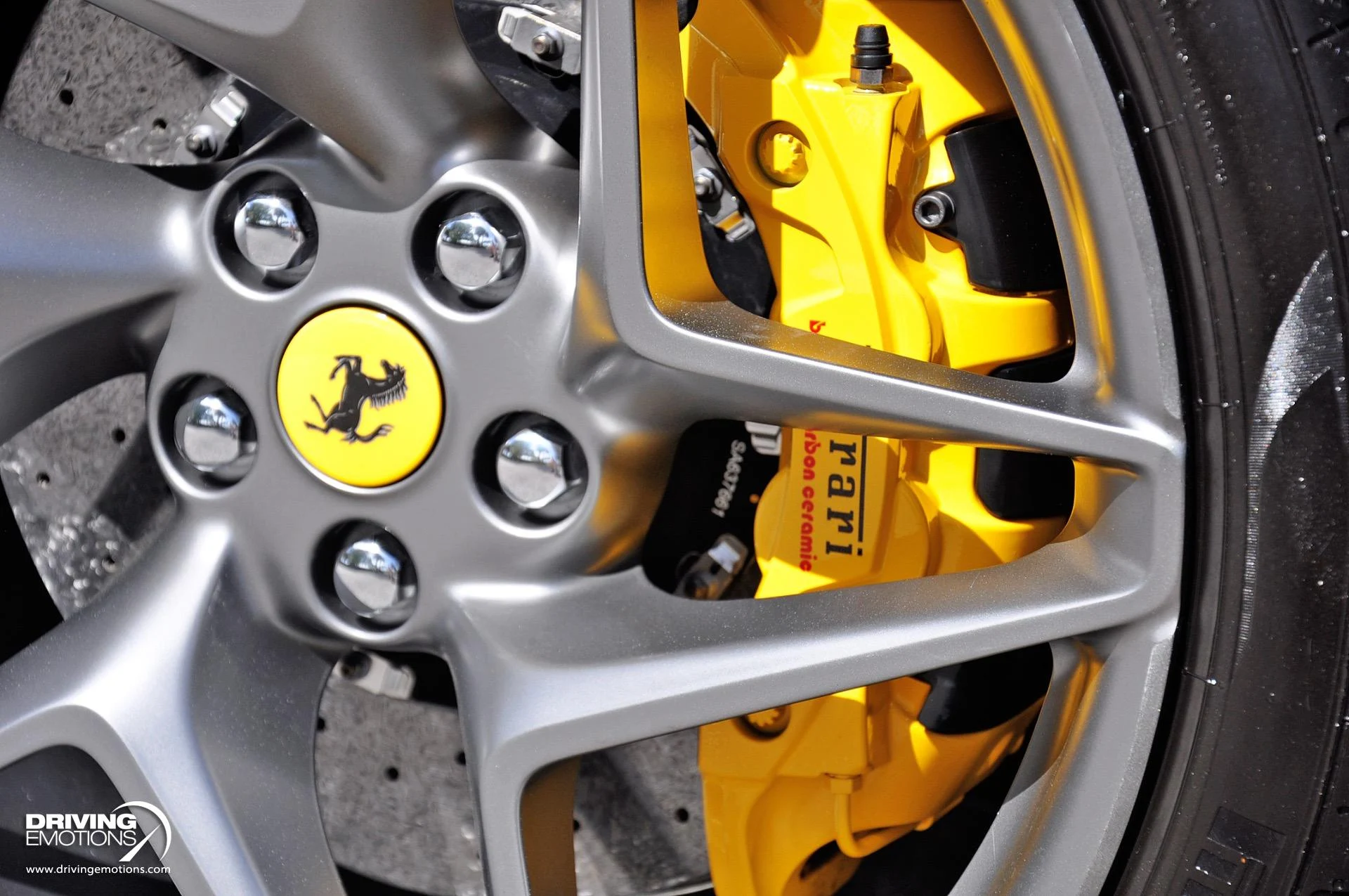 mph017_1680132345_896_p18_l_2e39f00565