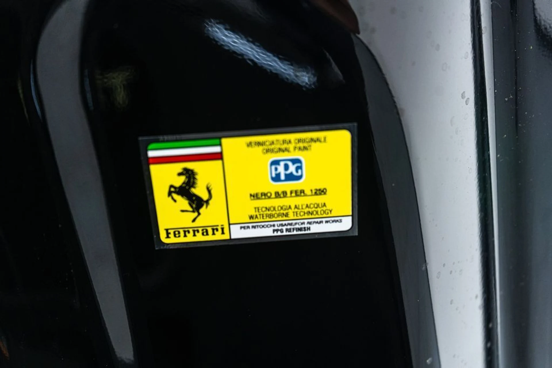 mph017_1738016350_18_25644740_6944b4195cac4_879ebb5651