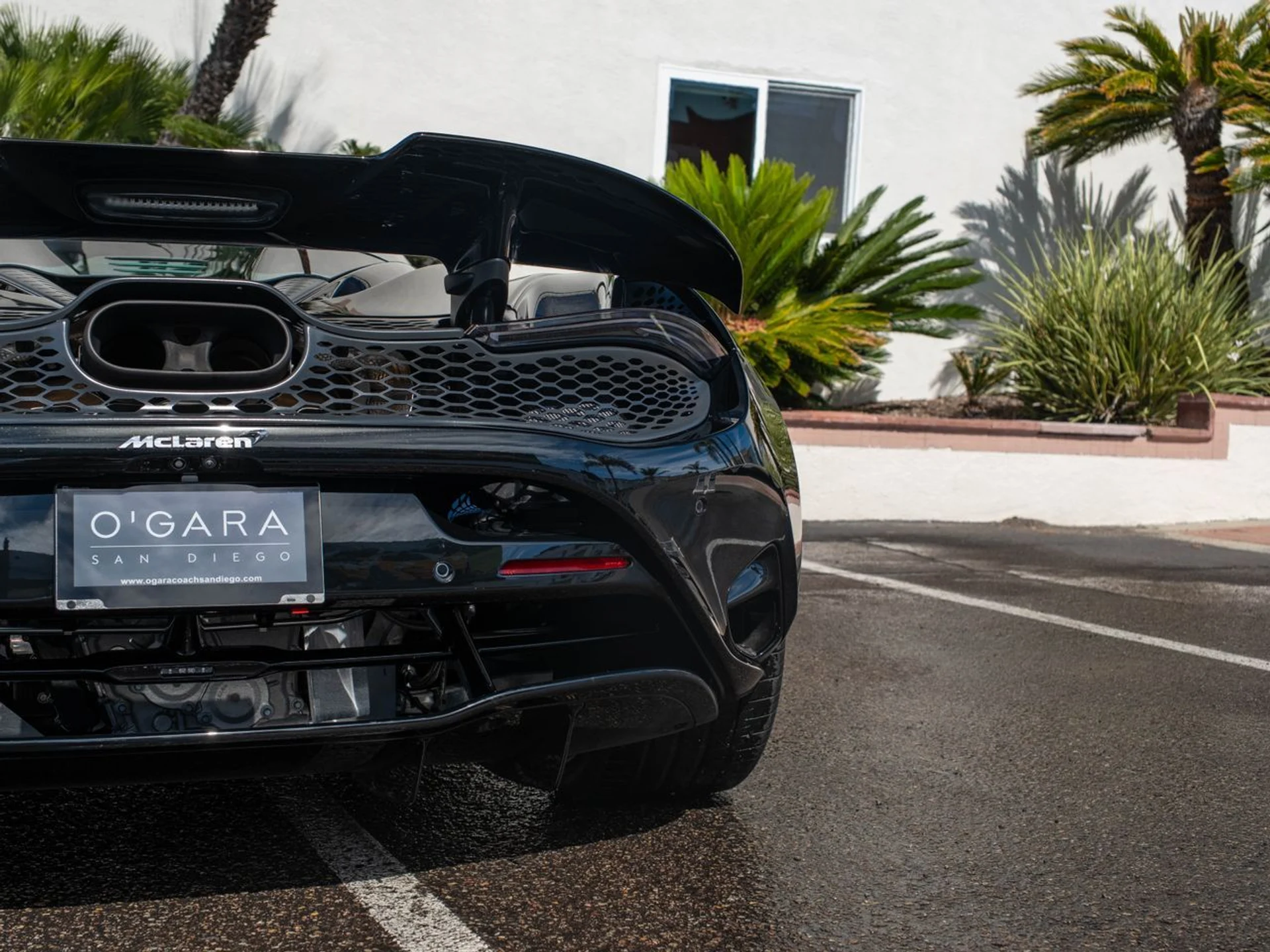 mph017_1812012305_d8b66c21e46bf623a808fa1c05d1e9a3x_6dcbd19fb2