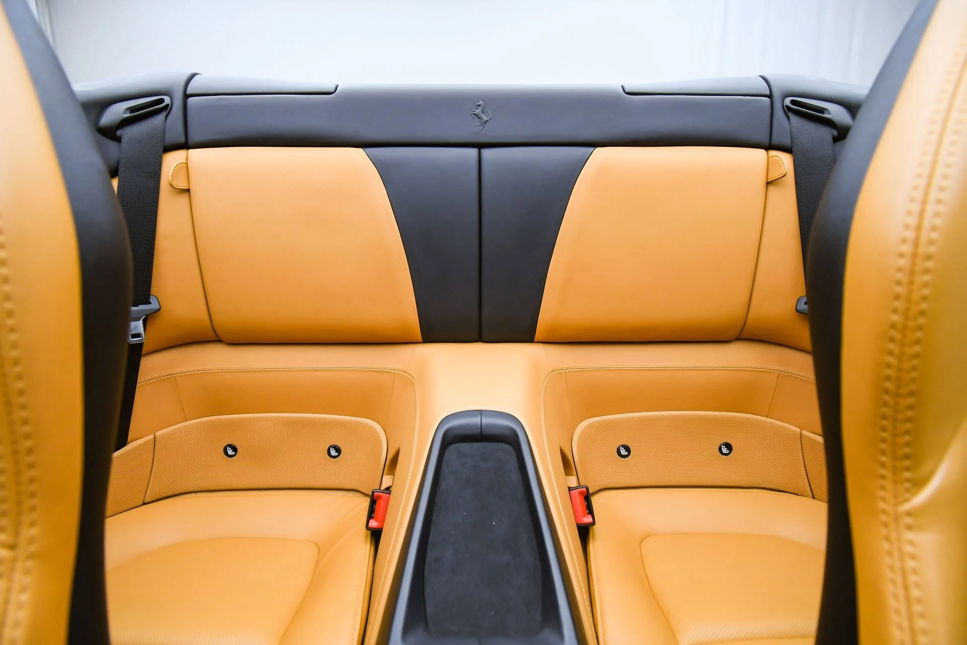 mph017_1986983074_09ce6f850f6d43b88c0d83e06e99166c_693dac125e