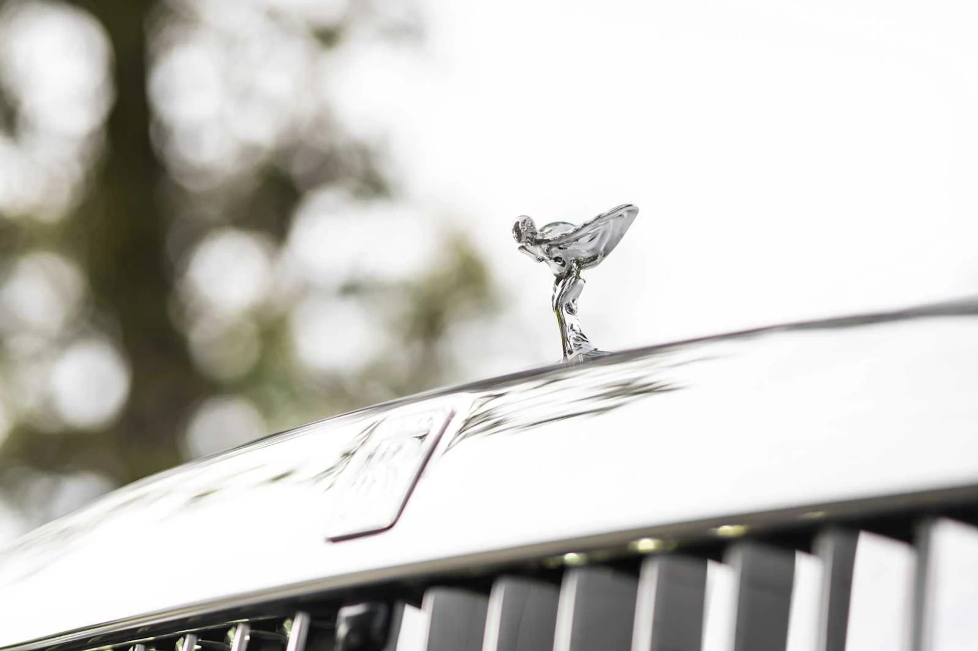 mph017_2049454283_85d1a02fd0e532f5a1aeca18aa26a3a4x_cf791fd404