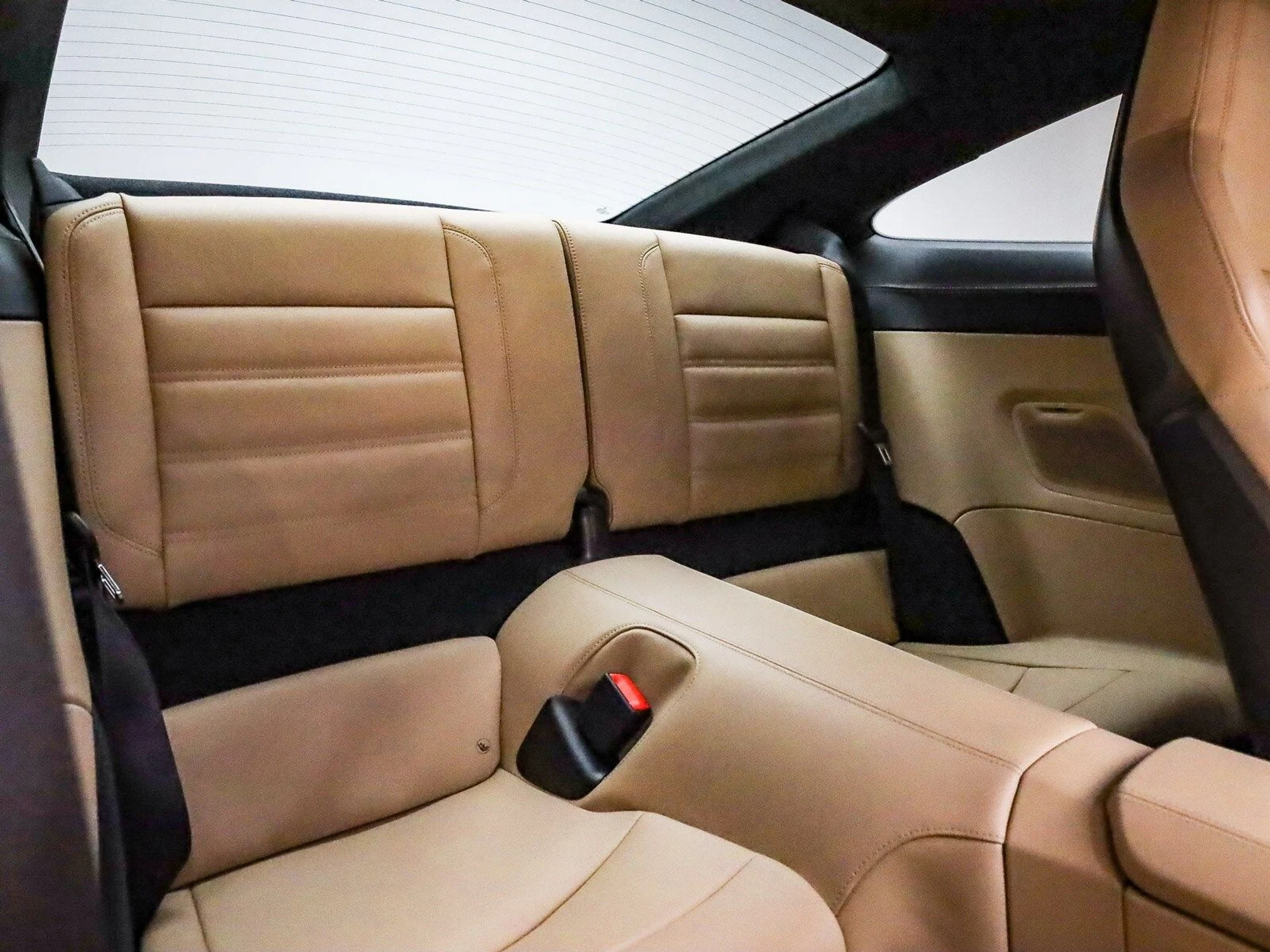 mph017_210849210_ad7fecfb0d27fb5541fa717421d563b2x_8e9becfcba