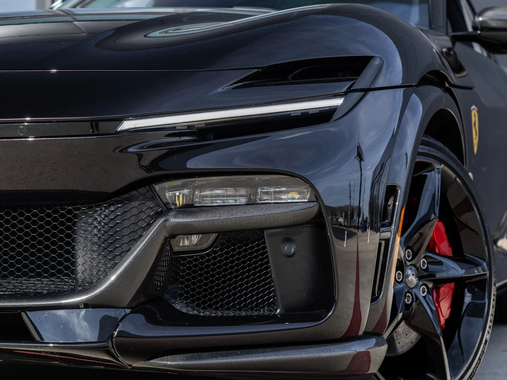 mph017_221316363_18_dff01c0d49