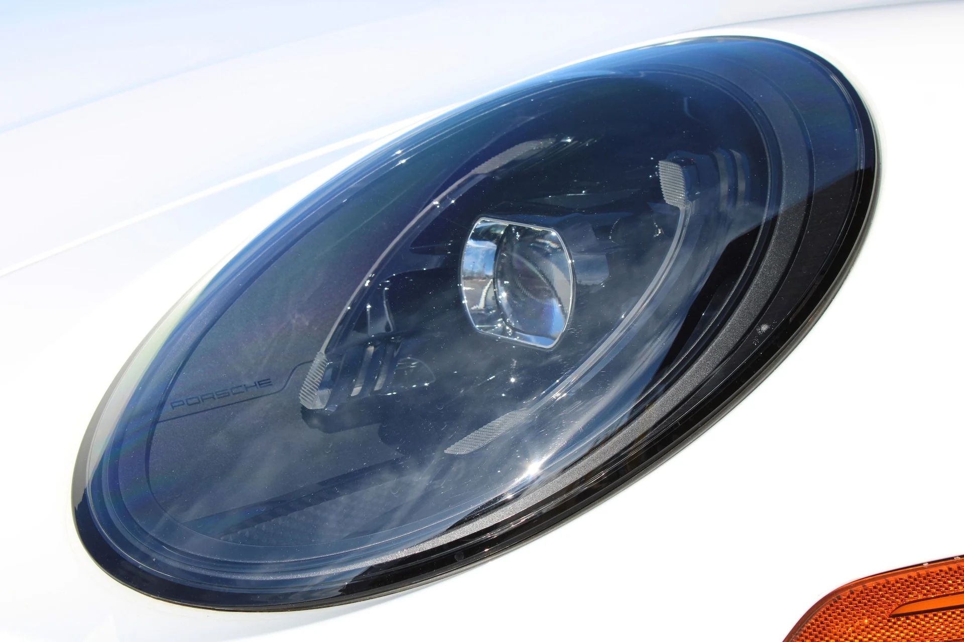 mph017_2309816089_d497942a22f9b1ab64d1a5bbc9db0d4bx_8b89cc5af3