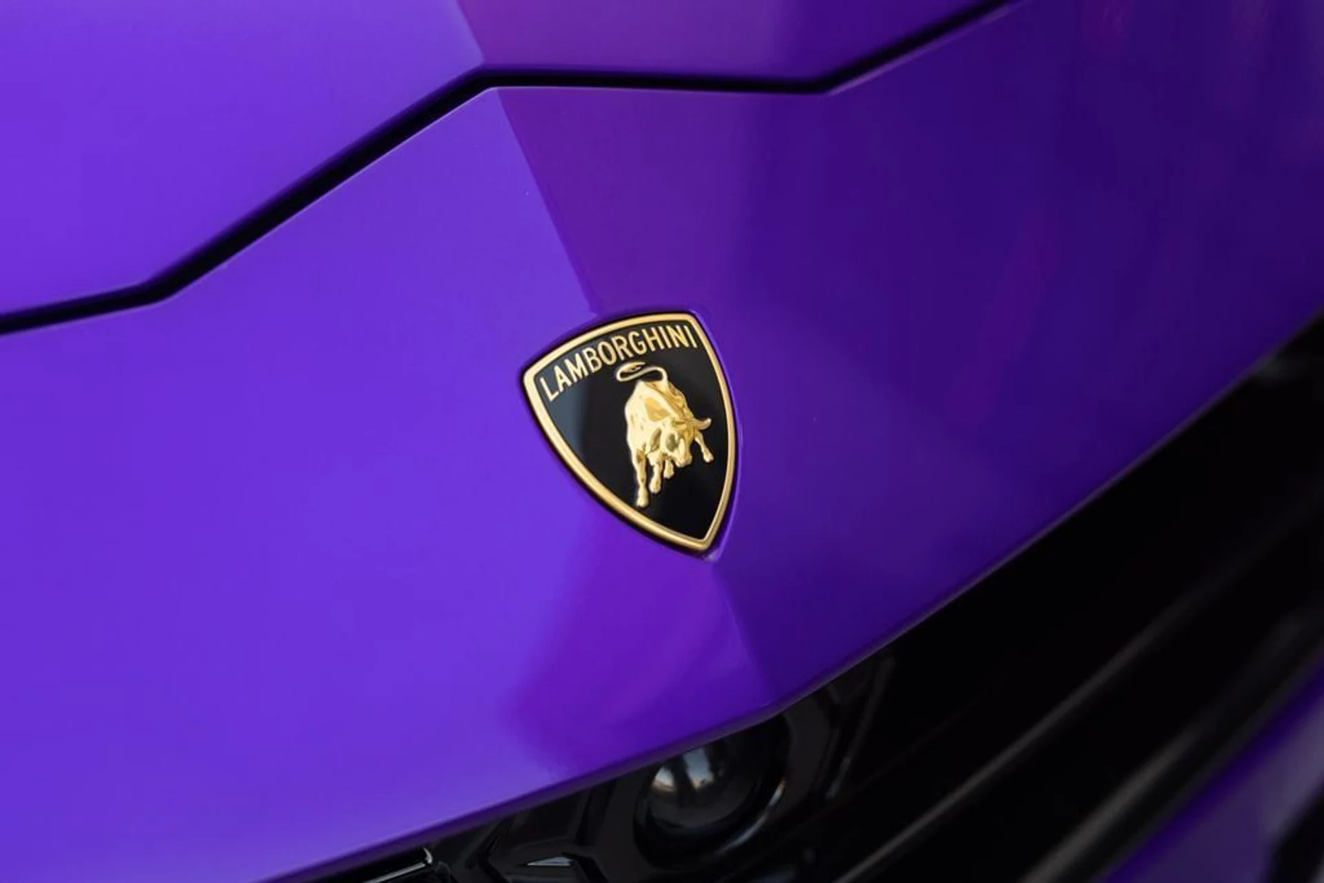 mph017_2330564399_c24fff1df0051f3f5b4a569c36d5a0c2x_b219cce3db