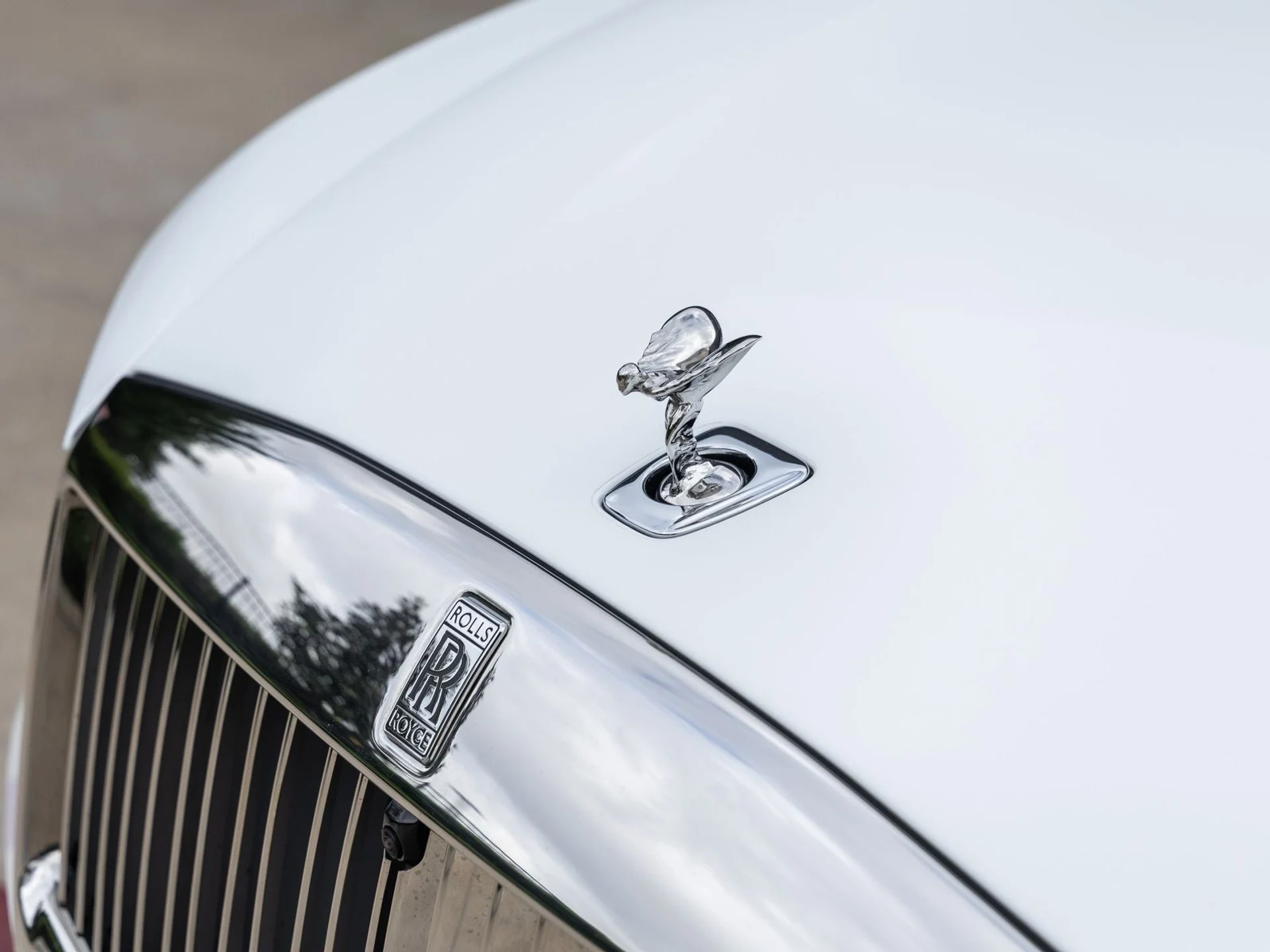 mph017_2340502501_18_f3758ef2b7