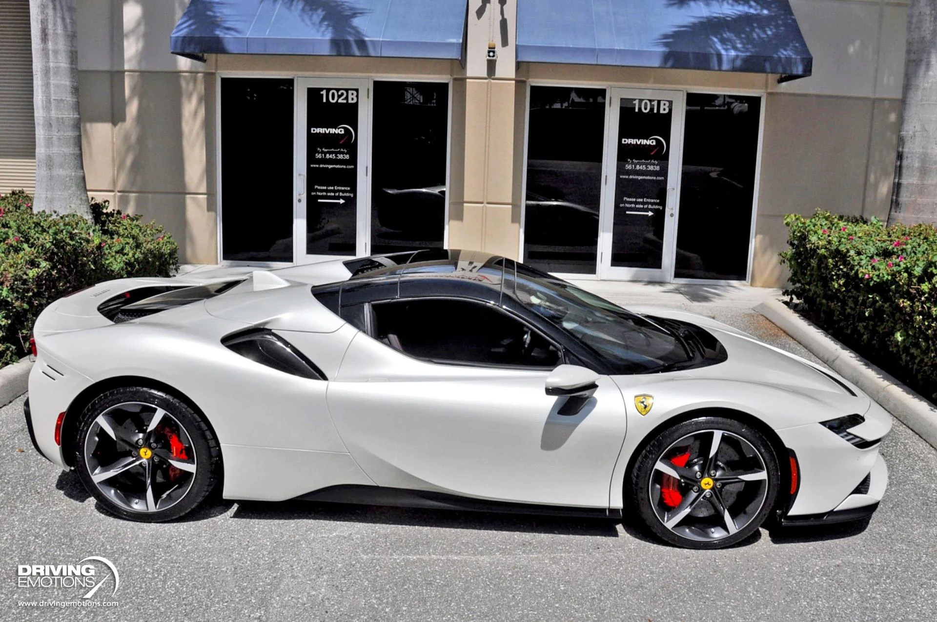 mph017_2350103675_859_p18_l_d3393aed64