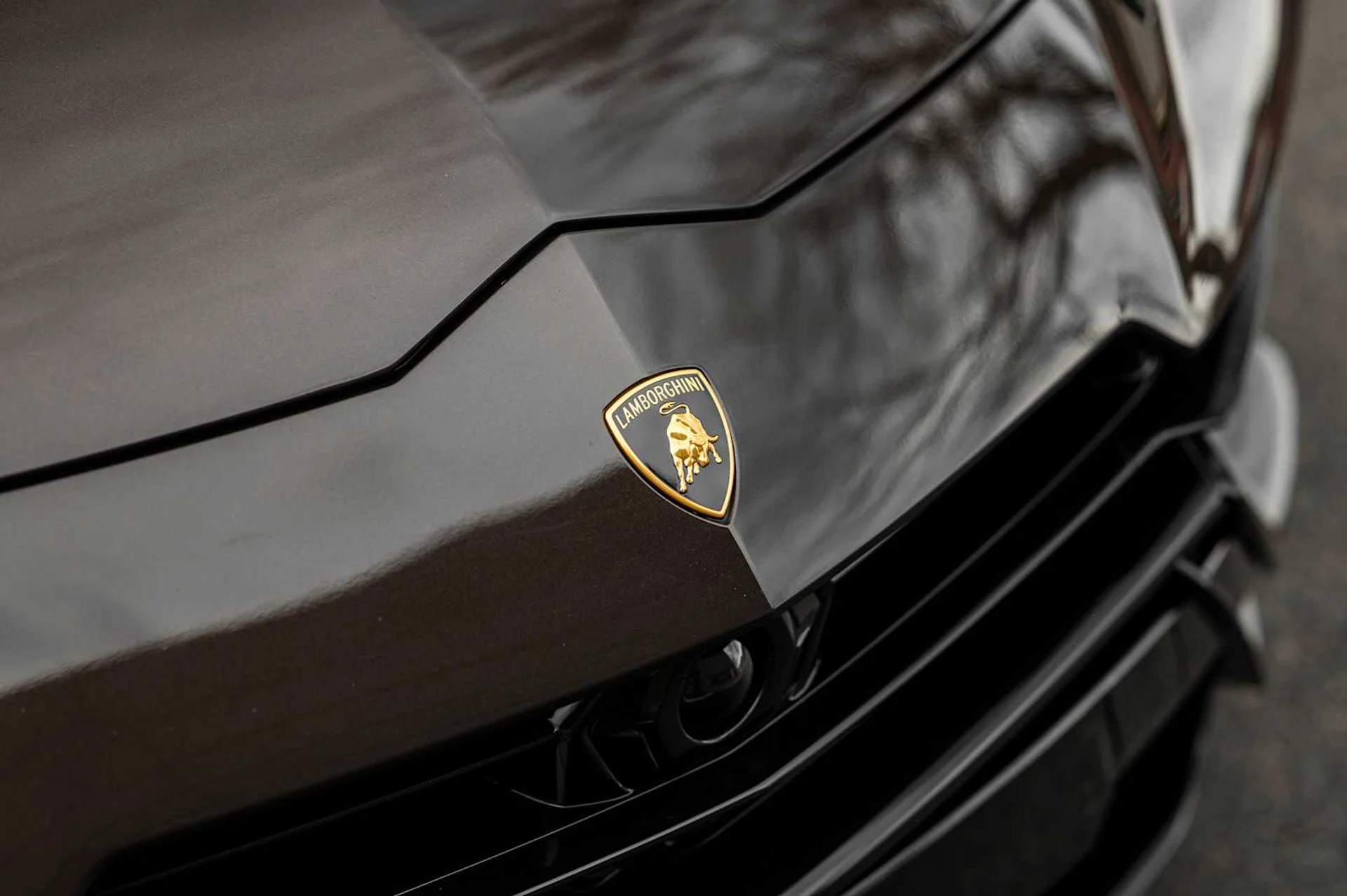 mph017_2352530493_bdf45ee184f6b4f975d8064aa0ffae85x_cc18e1d7db