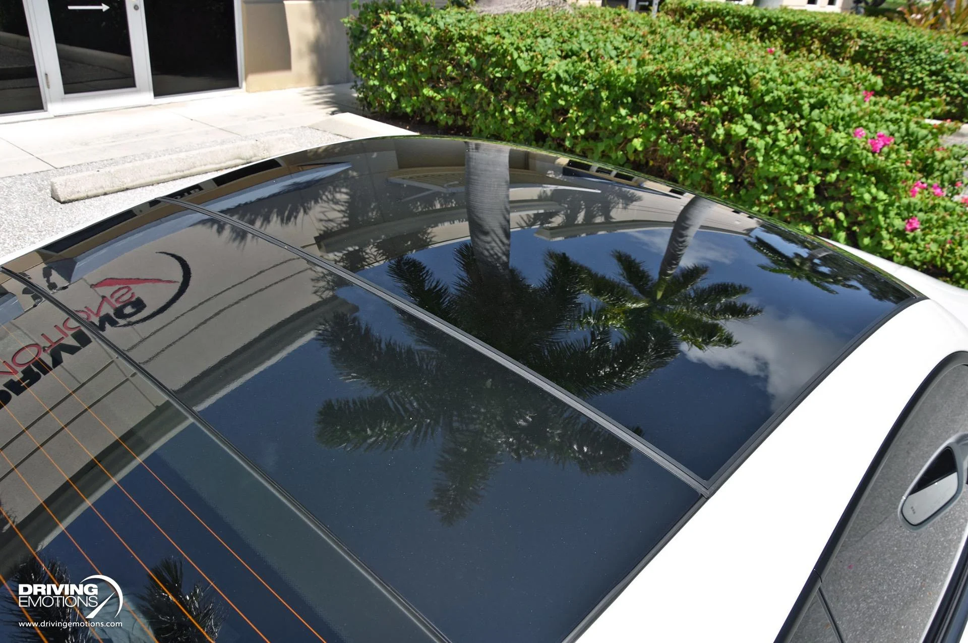 mph017_2411053623_865_p18_l_f36edbde1f