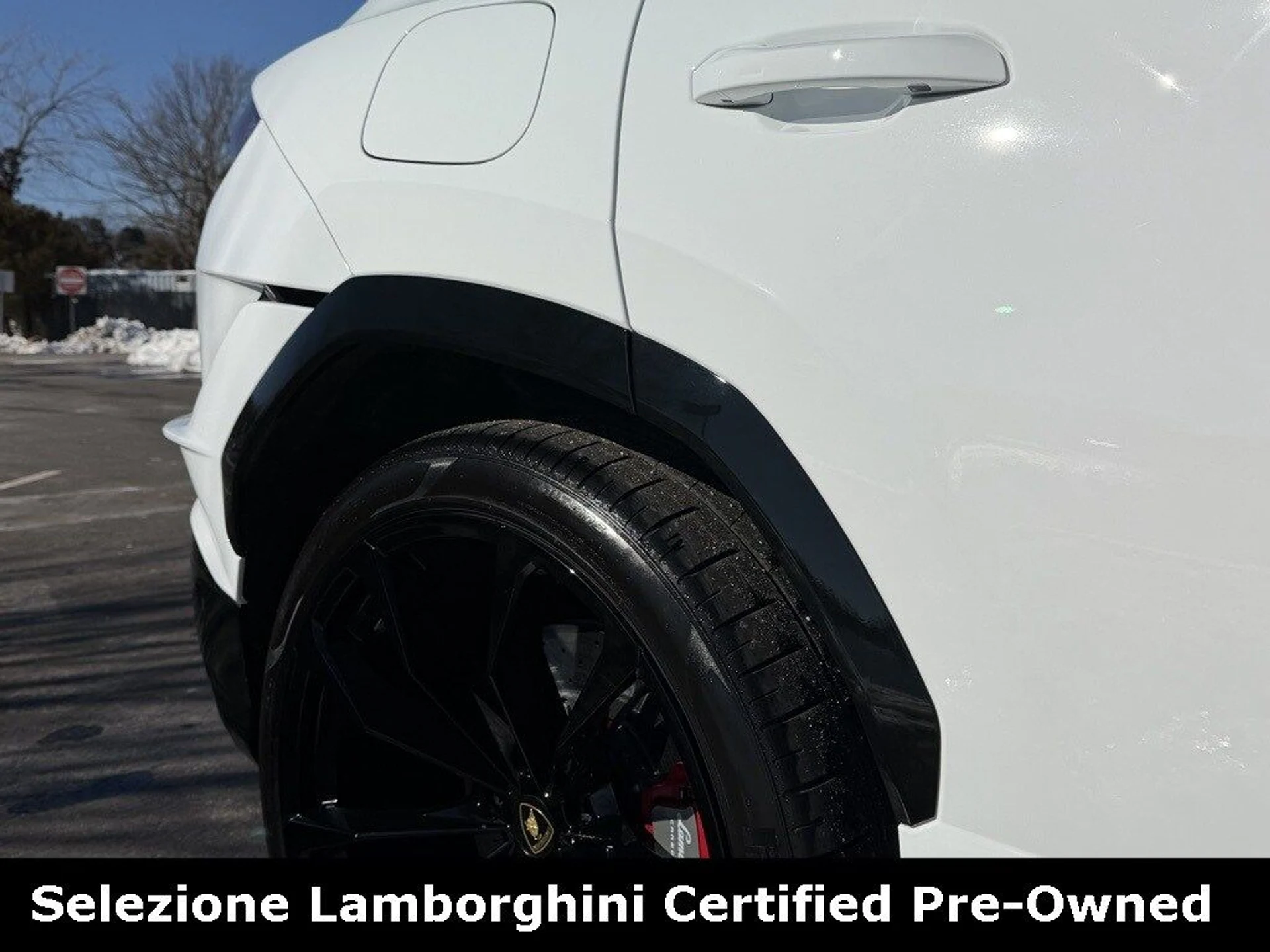 mph017_2435649733_5e5cd77ac7ee9b52508edf0f9f0ee13fx_d477caf125