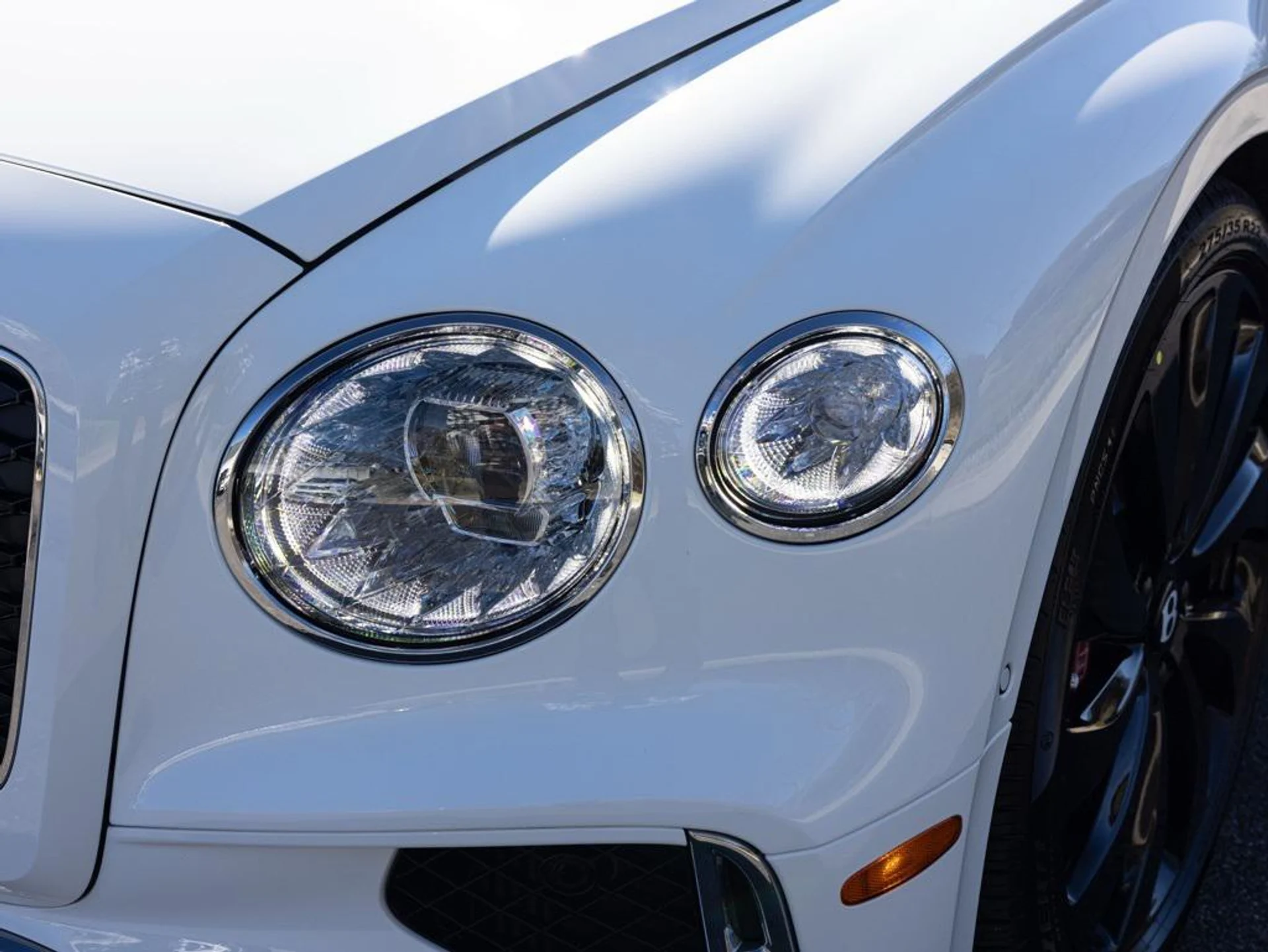 mph017_2447992891_489450284_696fa25d247726b502ba2705_a646bbdfc7