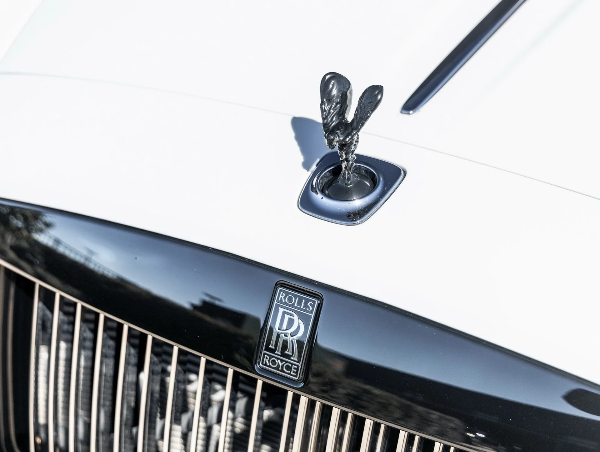 mph017_2586057006_18_81693cd7c9