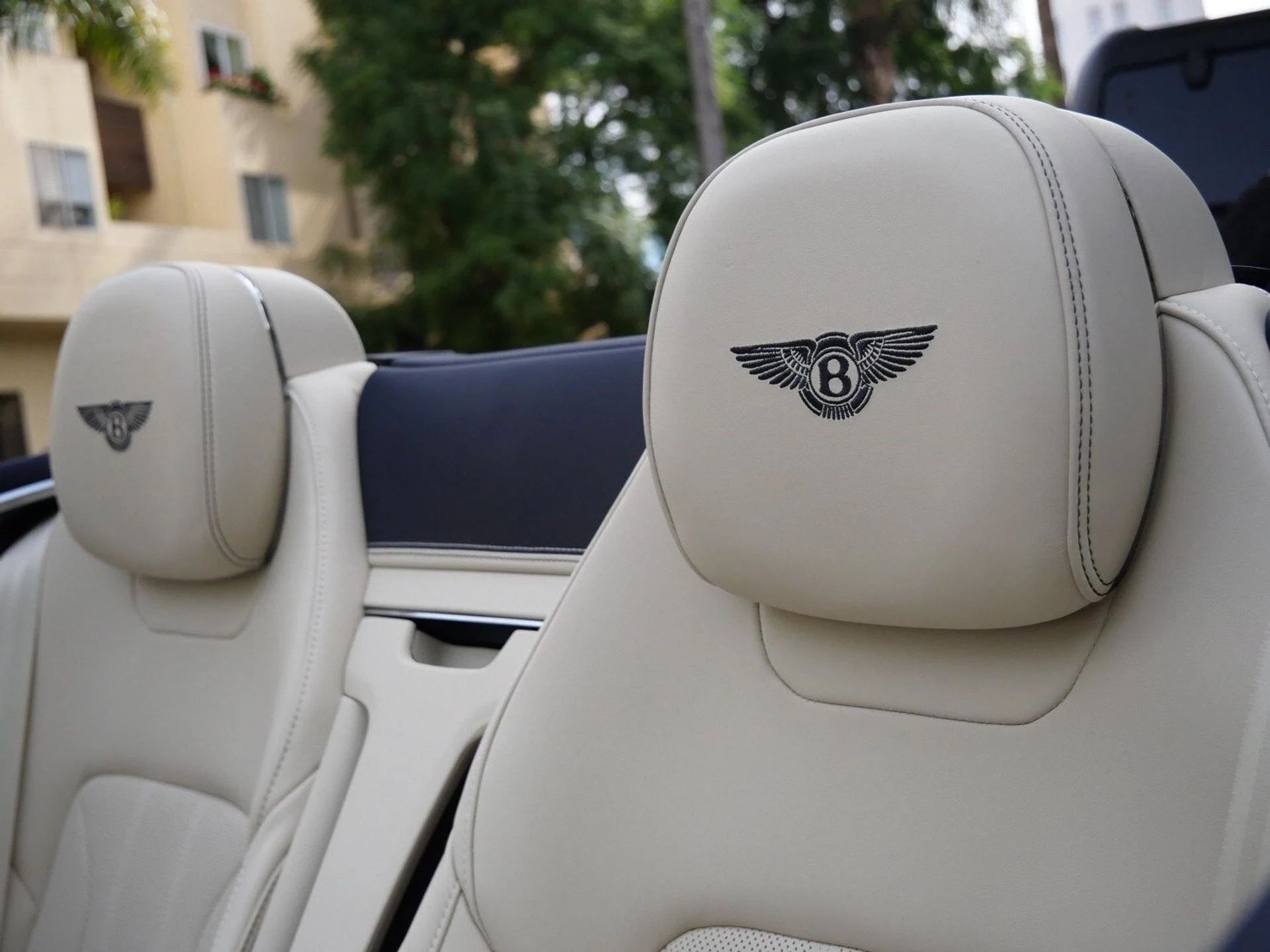 mph017_2605924949_b7a2282ba74a215401a245a4f899c687x_6e26775867