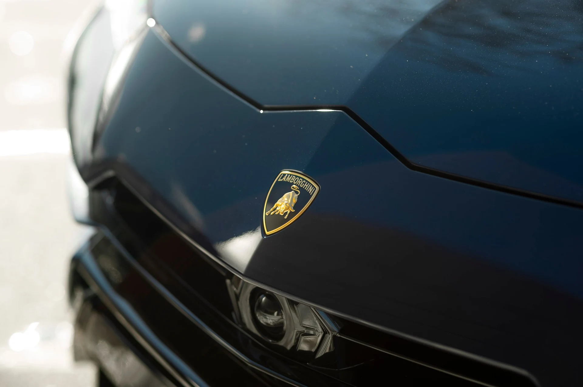 mph017_2658669373_8aeee5f48498472d88ef12ba25b9980f_6e6bce35b1