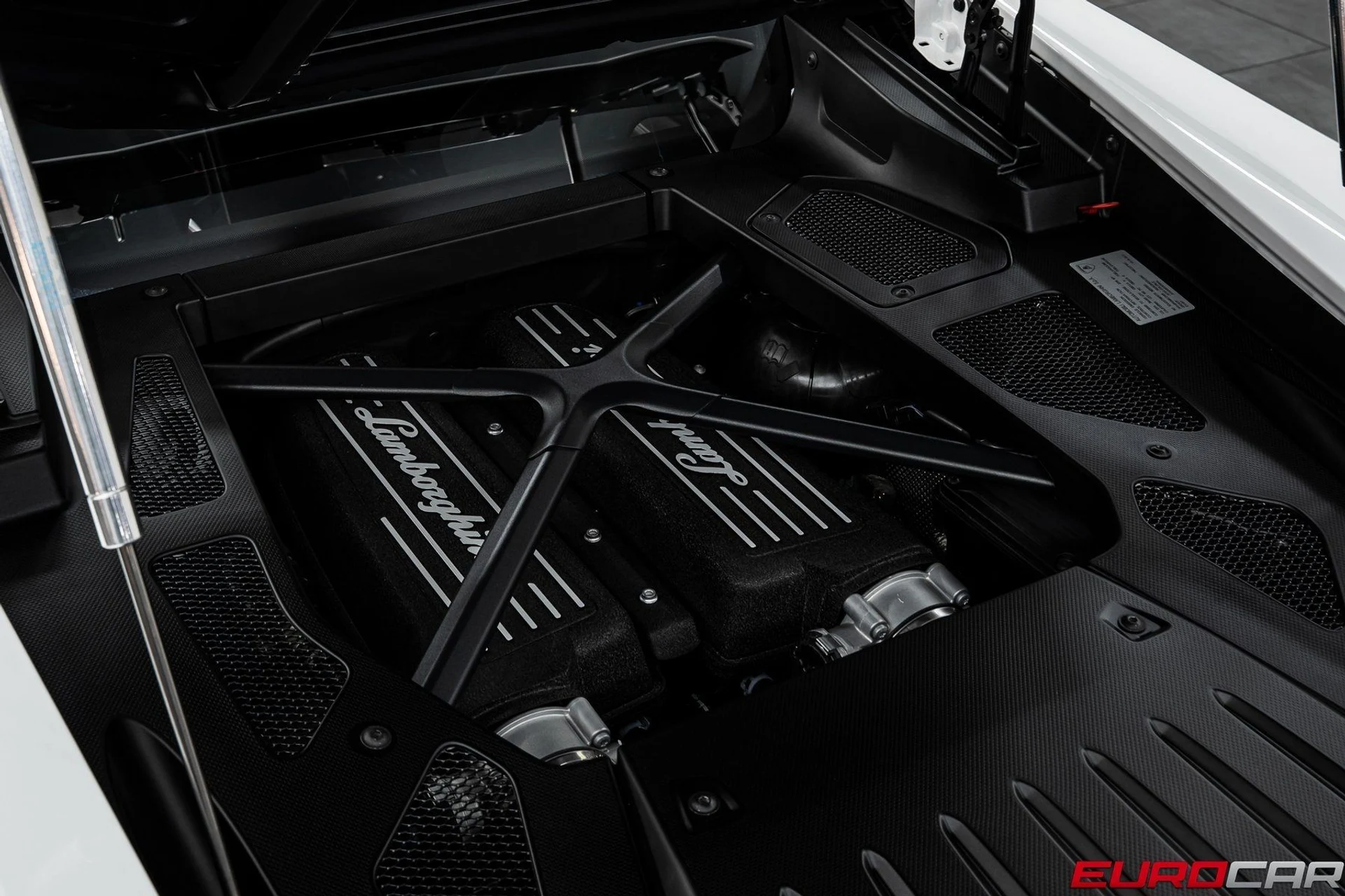 mph017_2780072107_image_18_118e212c7c