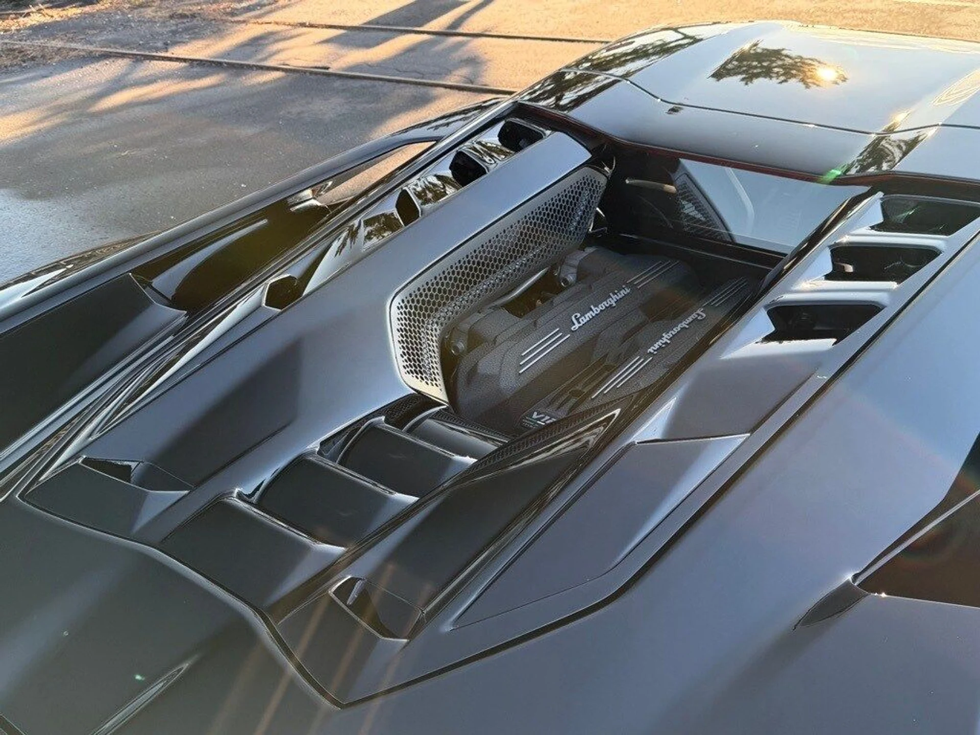 mph017_2822997768_900f6a95009b8738f421bbae86f74babx_3359362569