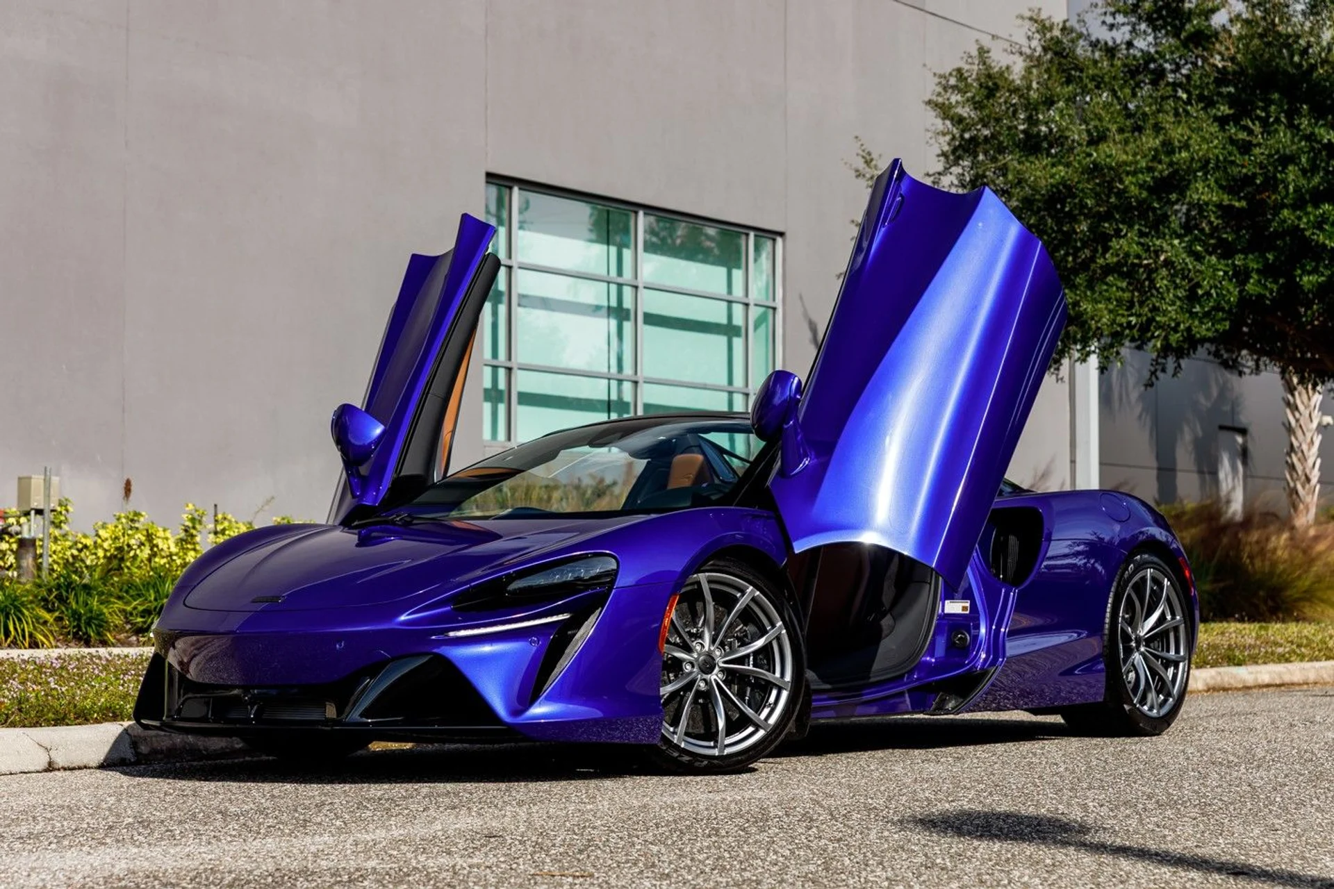 mph017_2914898505_620_p18_l_eb87330fcd