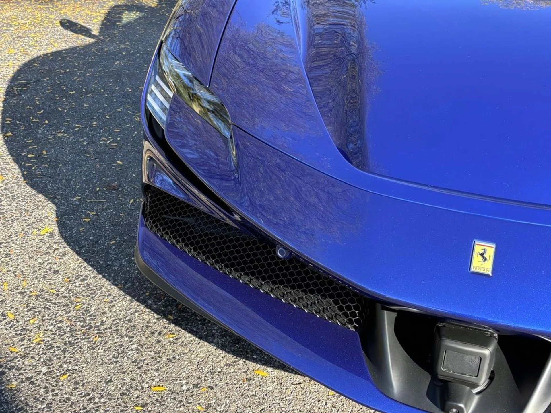 mph017_2935159562_33bdcfb631f1fbb8ba8494a5f464c52ax_dbc5c71313