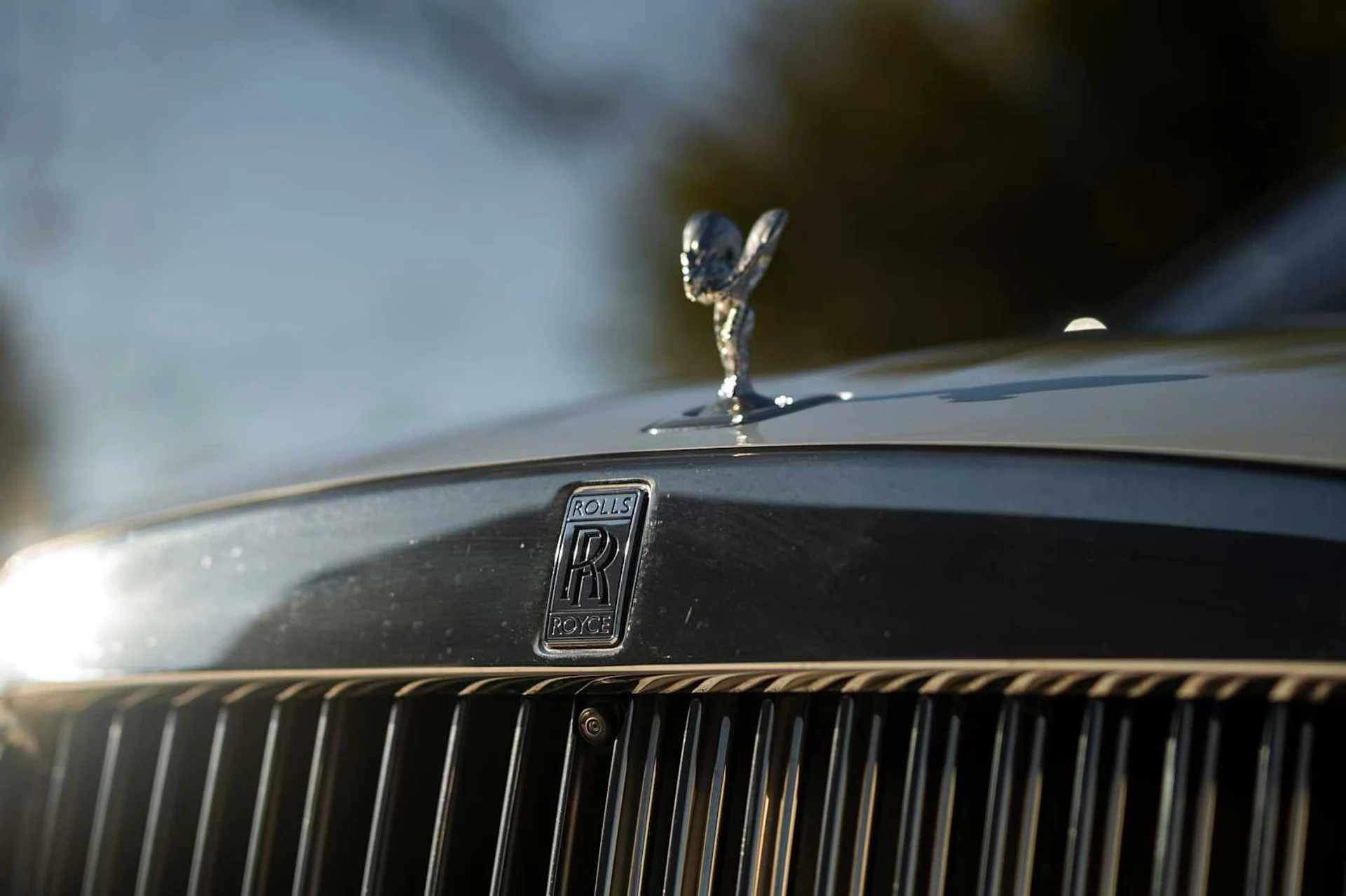 mph017_2957384571_2b9a16531a127bdfe24c4b0069387b24x_9800127c23