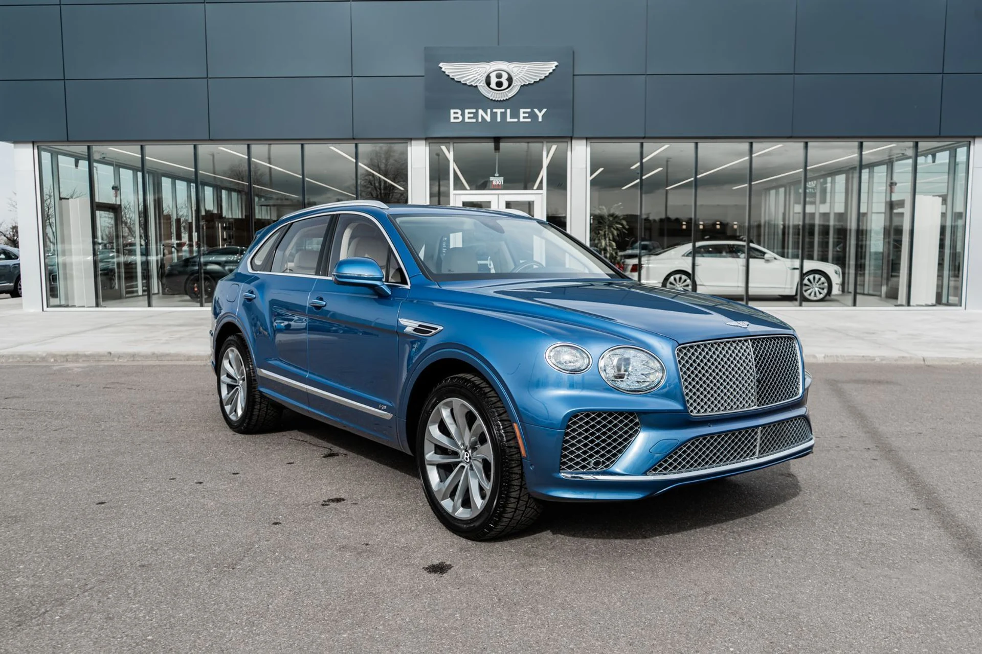 mph017_2982910531_a7e3c20e_9bf0_4ed2_9d13_cb454381290a_340f19613c