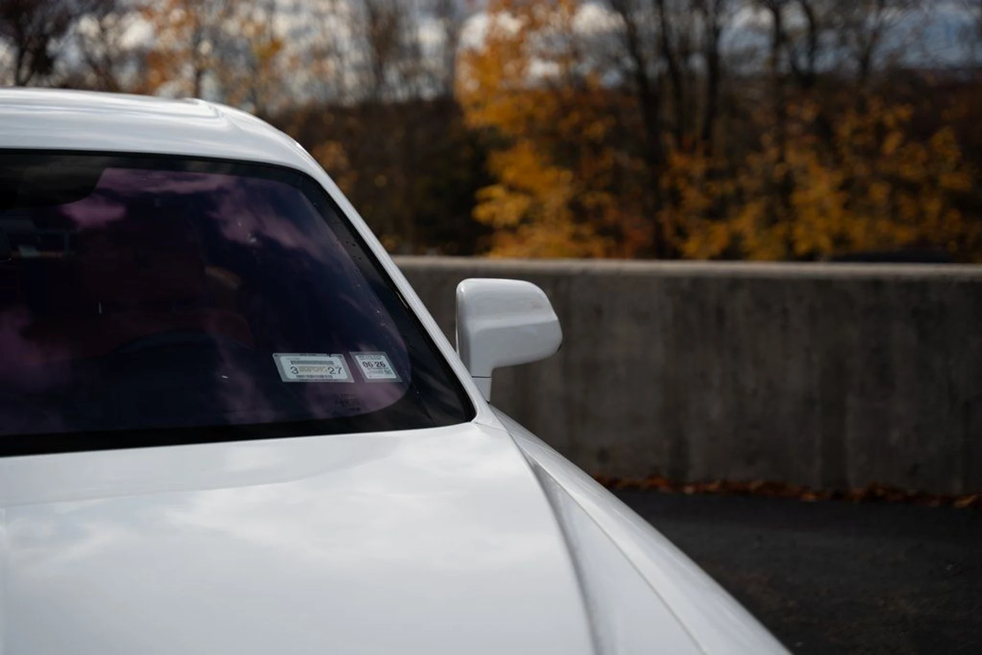 mph017_3039094484_image_19_7535c11fa7