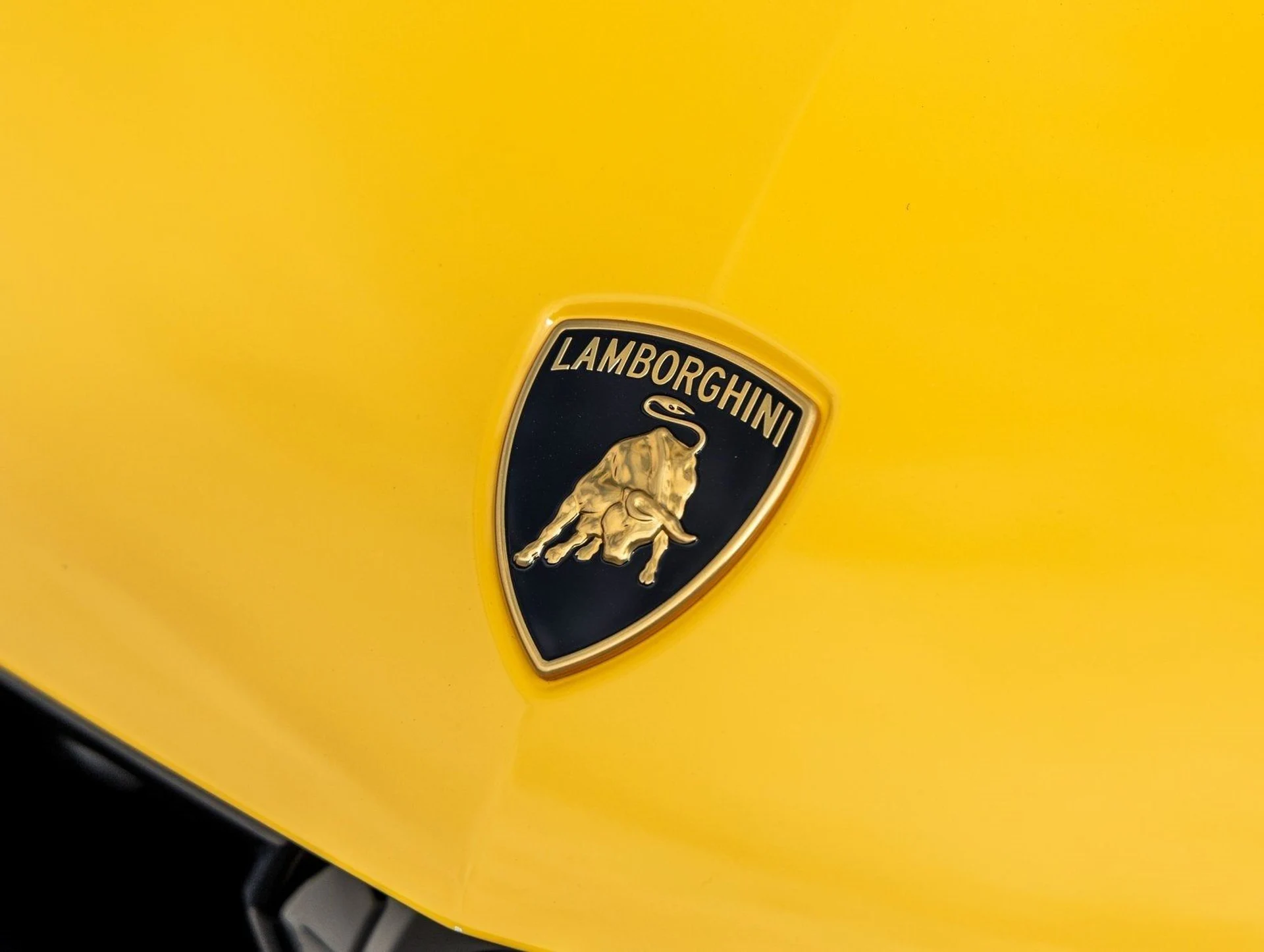 mph017_3098275429_18_bff8277d7d