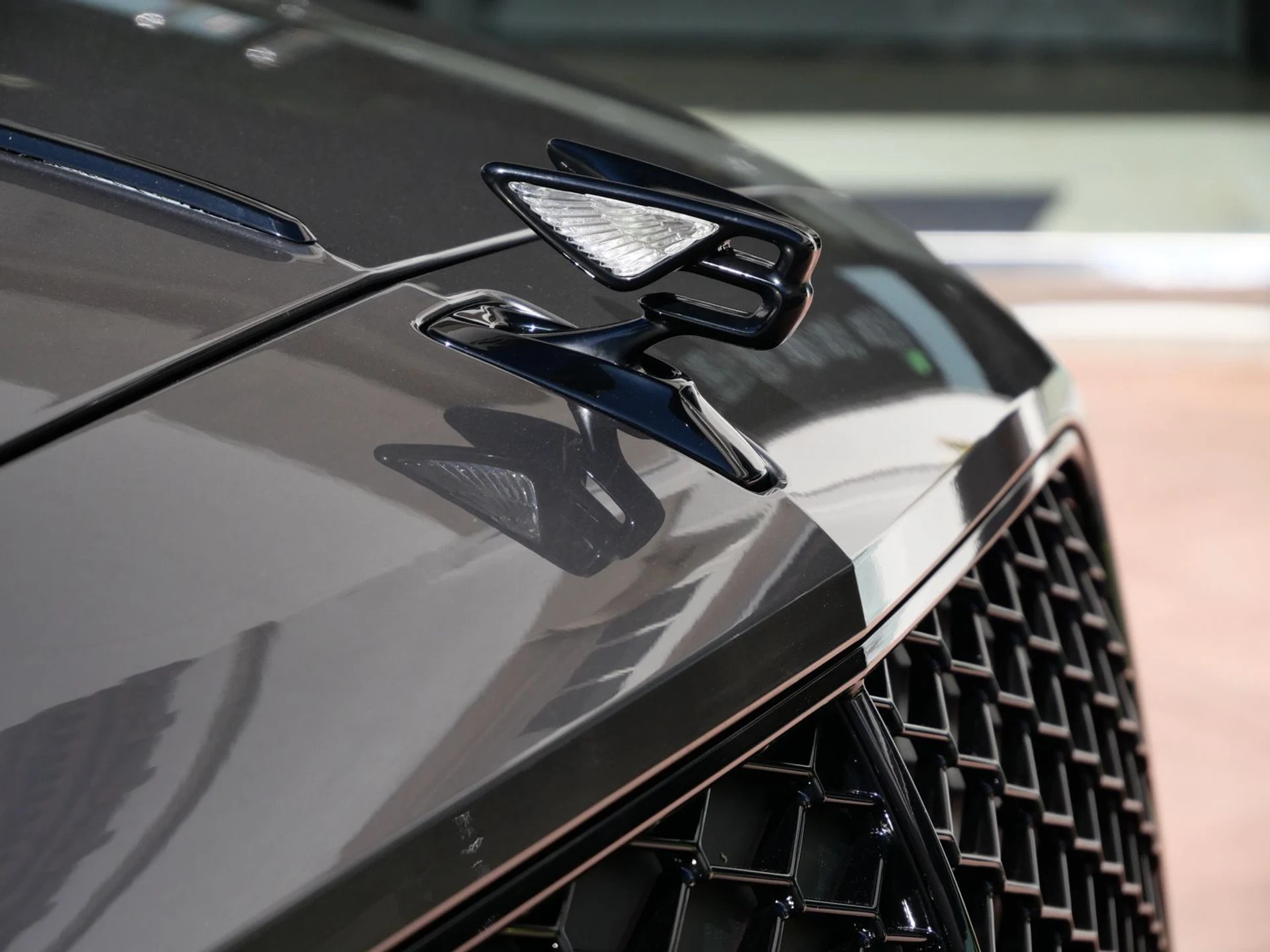 mph017_316403949_6fd68c081badb3e3eb1847807fd50828x_5e4d9aef7c