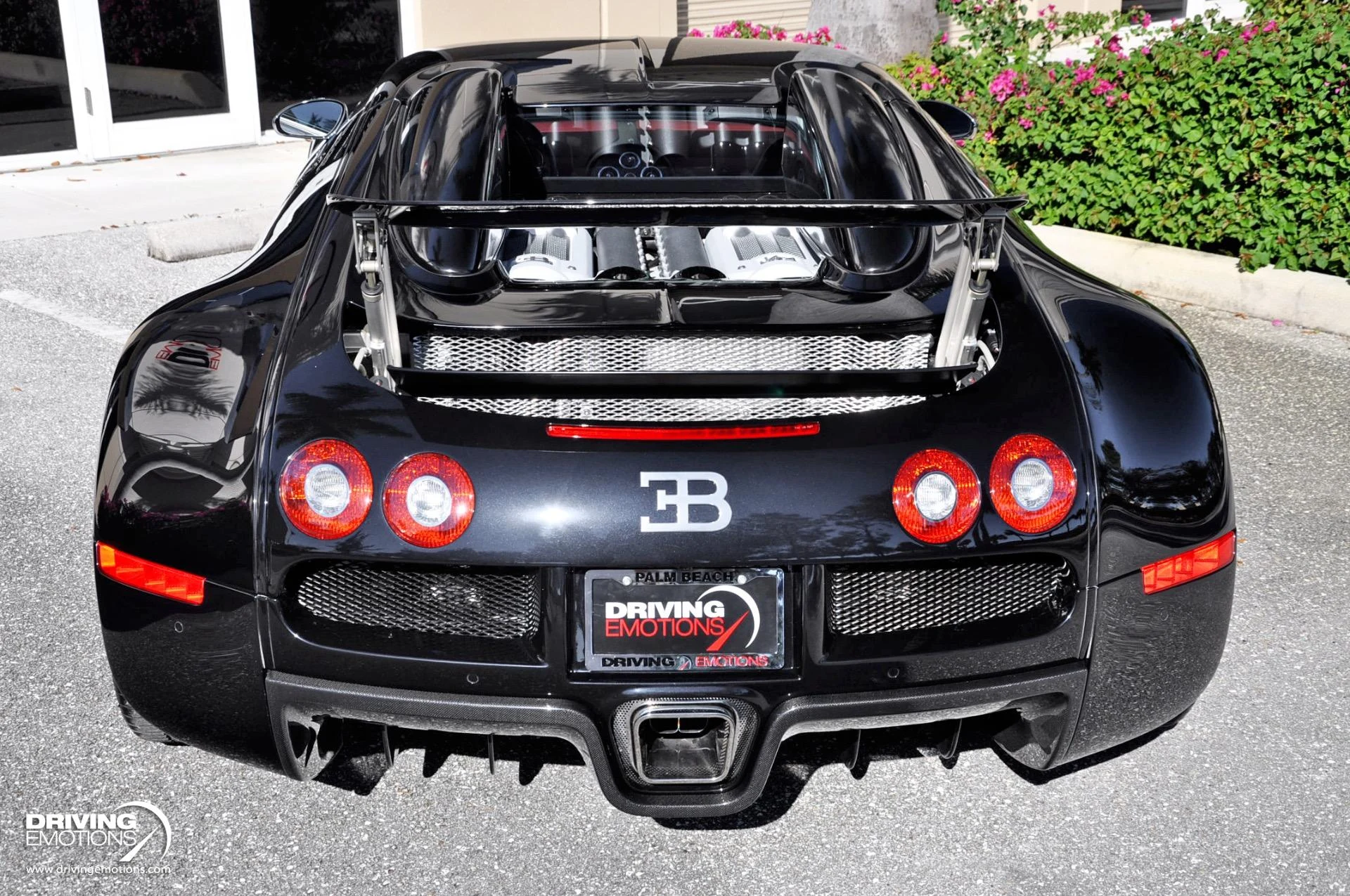 mph017_3186632822_479_p18_l_c256404604