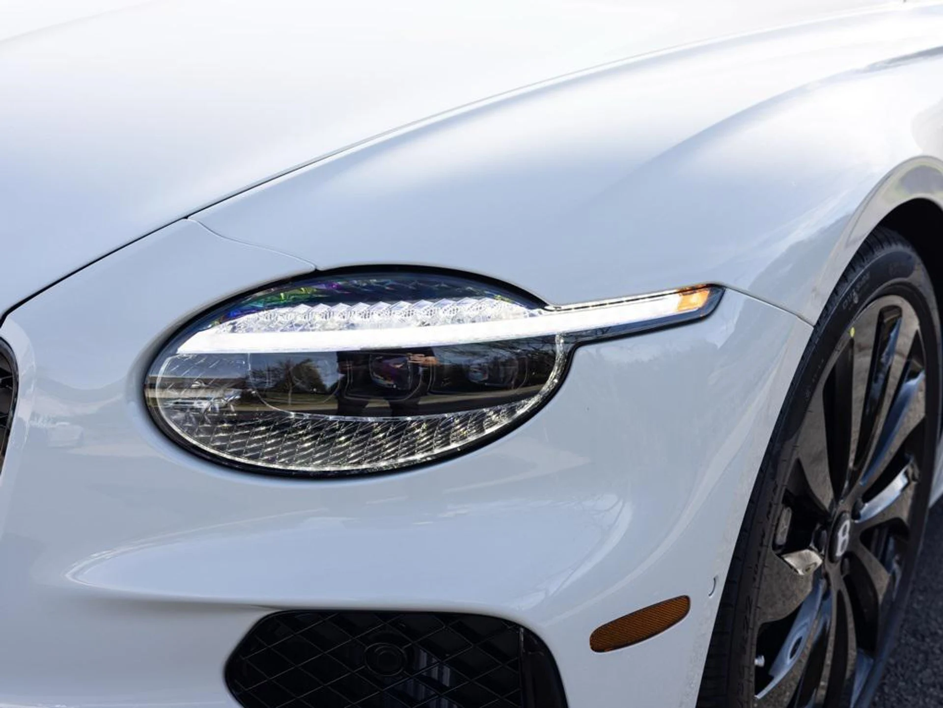 mph017_3200892961_477125128_692b326eb578948aa2d41279_4ed9d56ef6