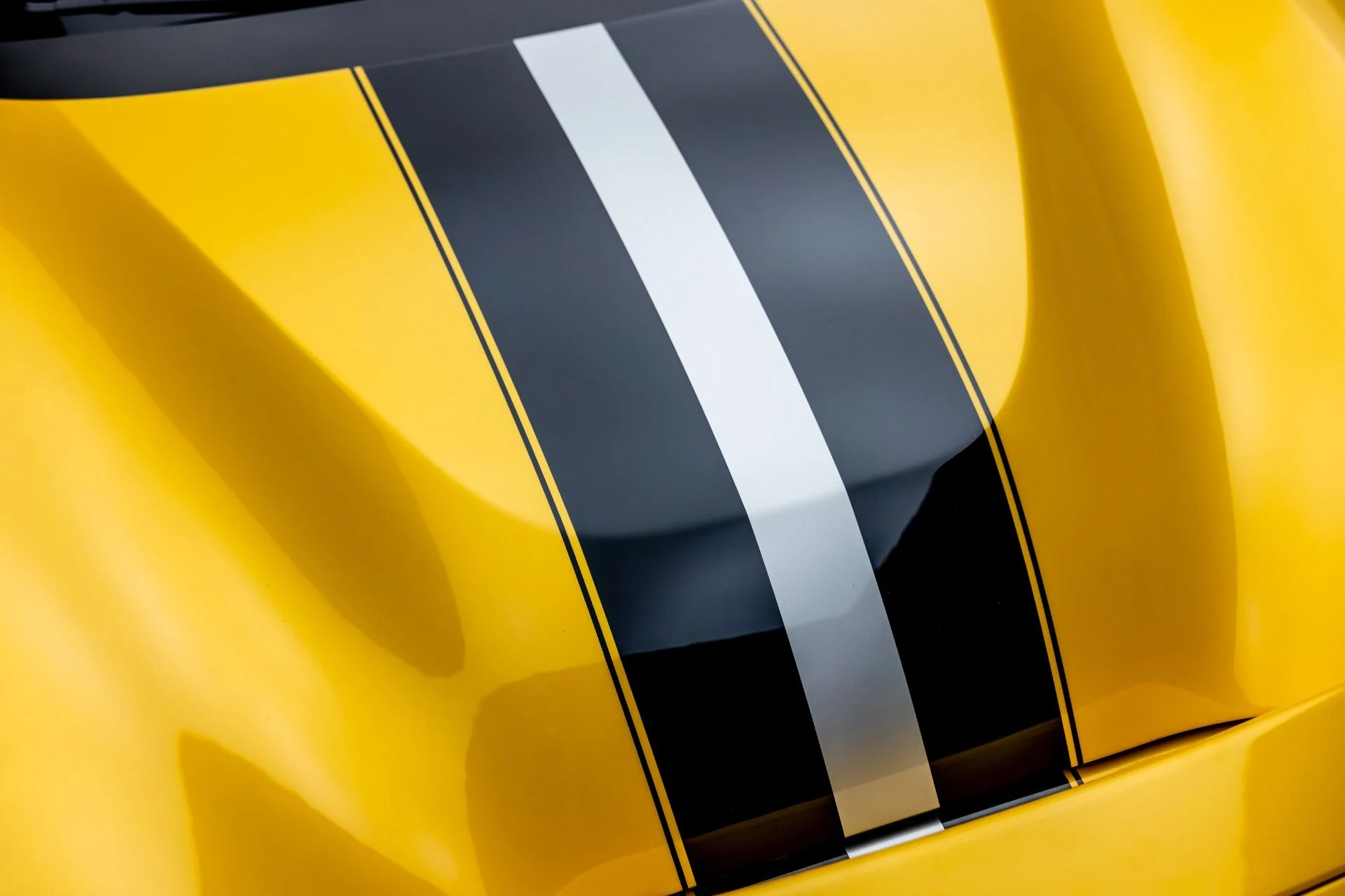 mph017_3369634812_13163_p18_l_2b20e4c4c2