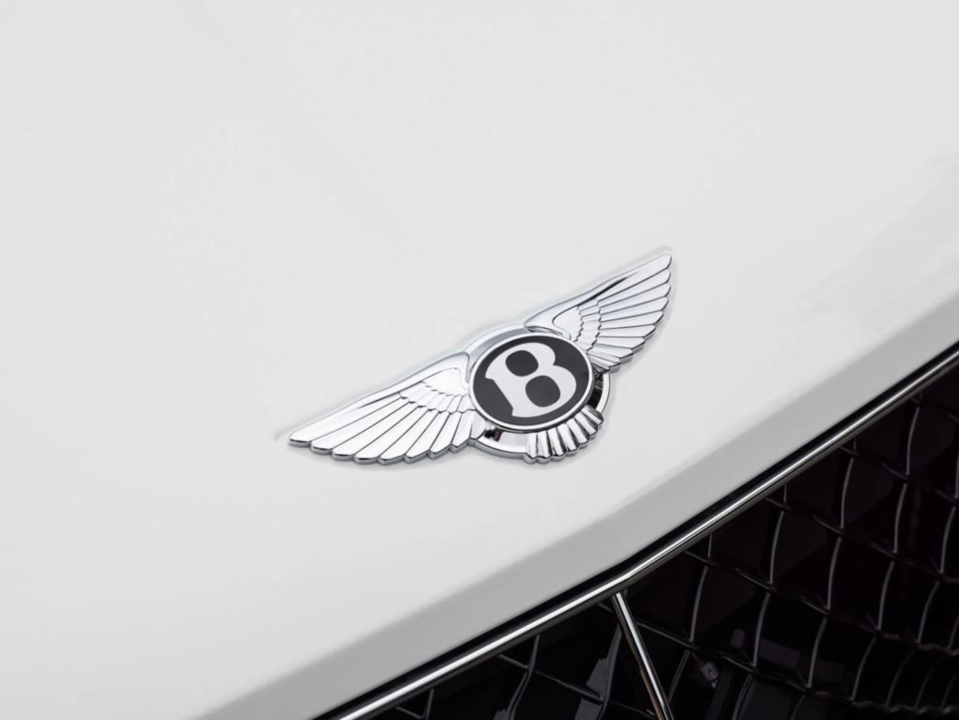 mph017_3414472766_444557824_688def9bb8367c48735ad9fa_80682d7692