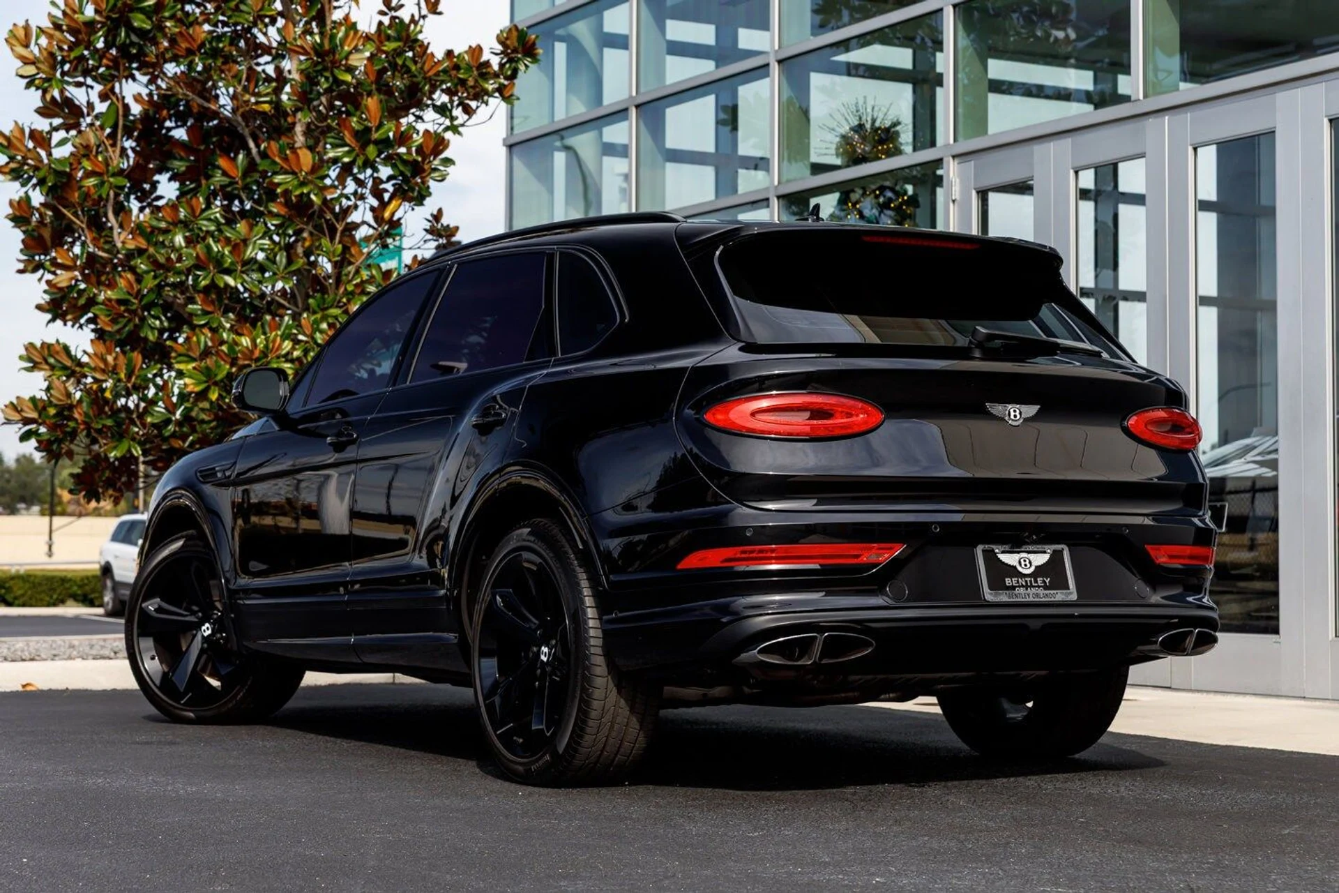 mph017_3478173809_880a43b80a40ab7c4e03b00477889960x_1fcfc257d2