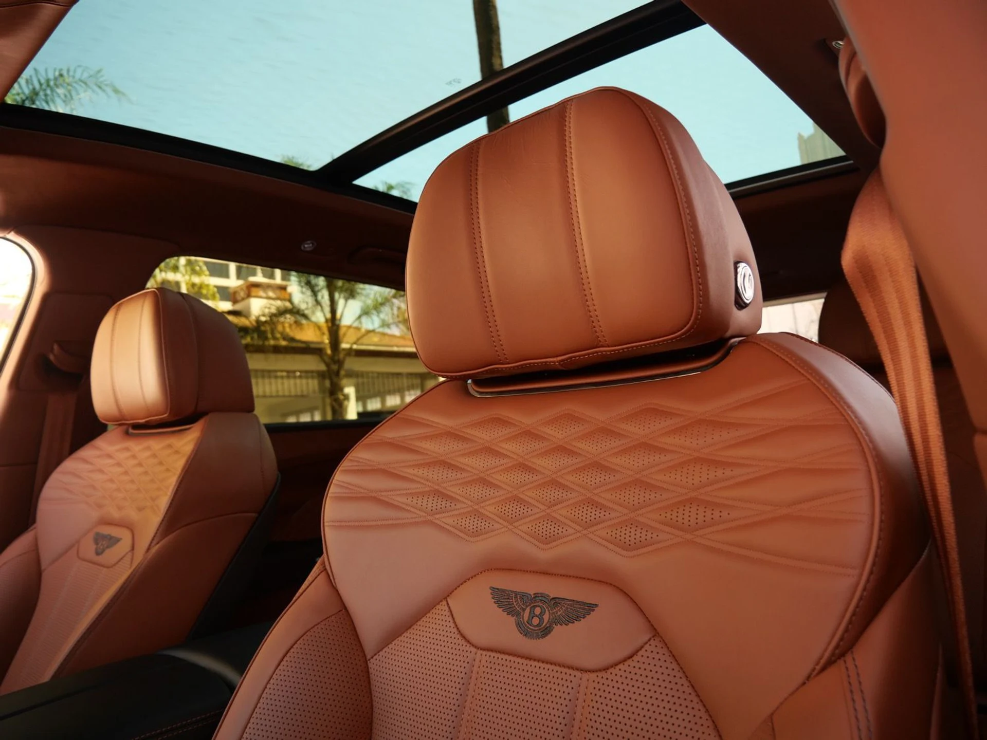 mph017_362553889_83f1a421d1950828232b8043c1364744x_b40e2245b8