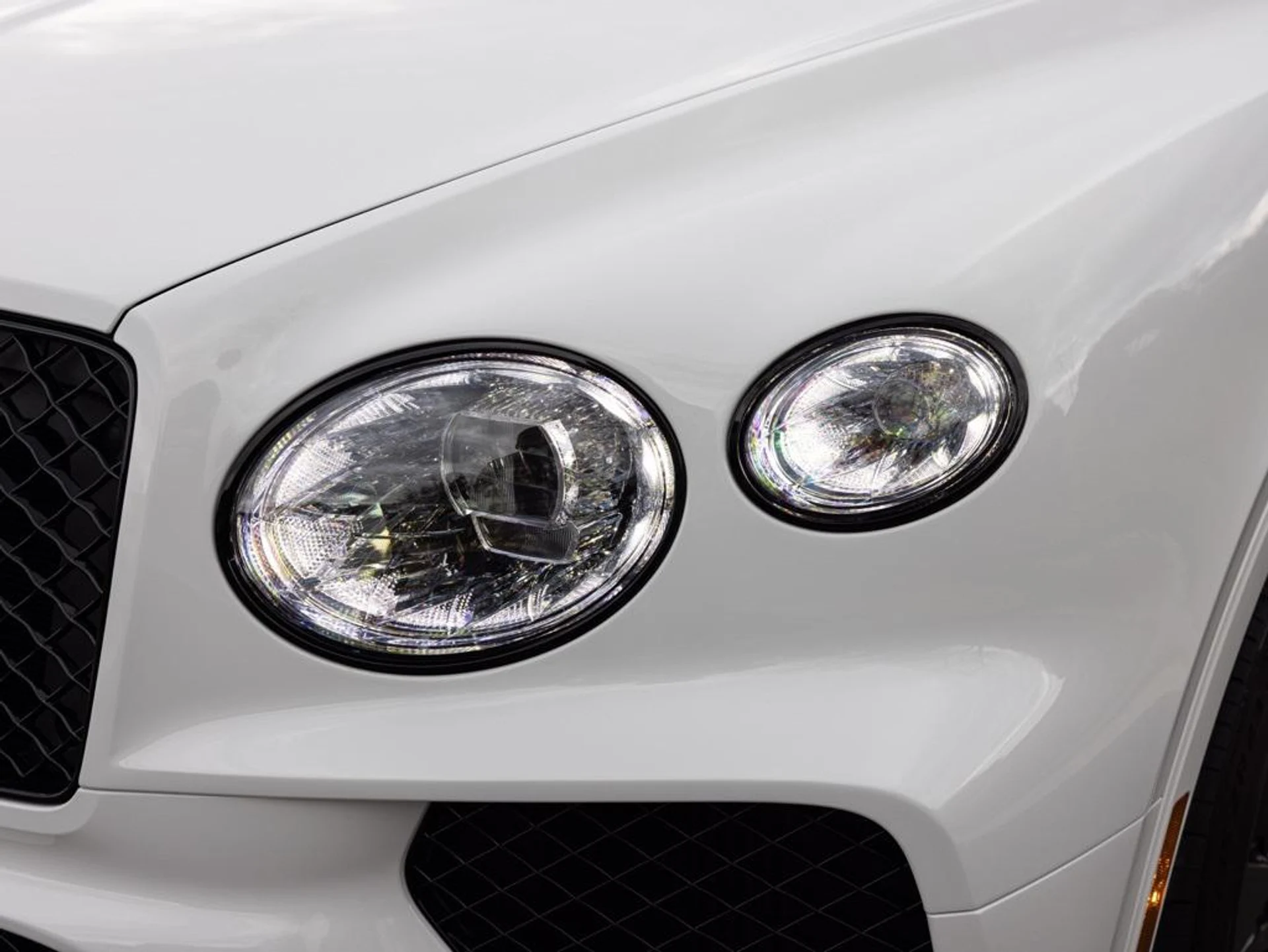 mph017_3630343167_480417655_69442333815a036f0aabfc14_b46a2ca405