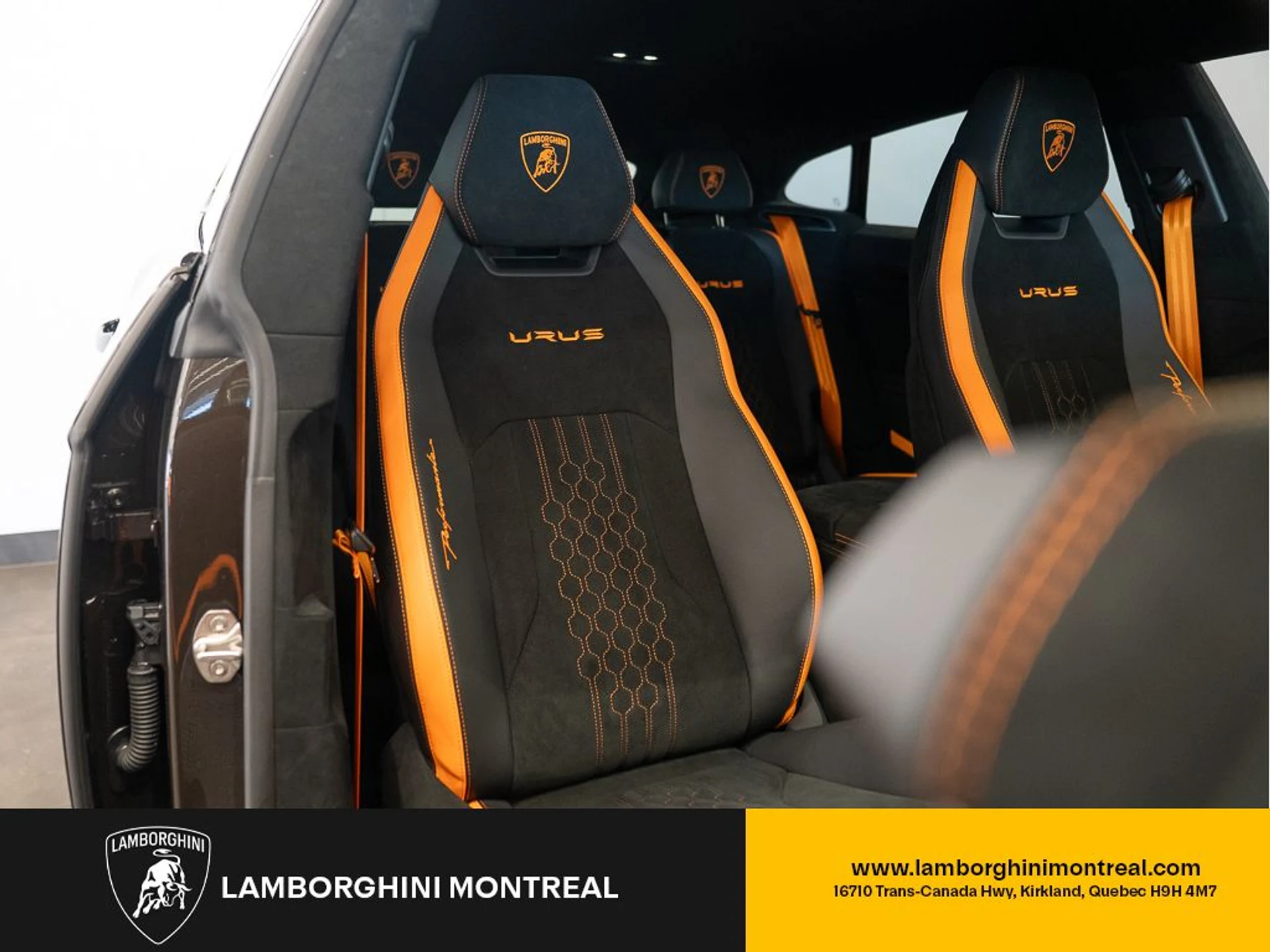 mph017_3997194985_jpg_v_1772496892_91e4b4e03e