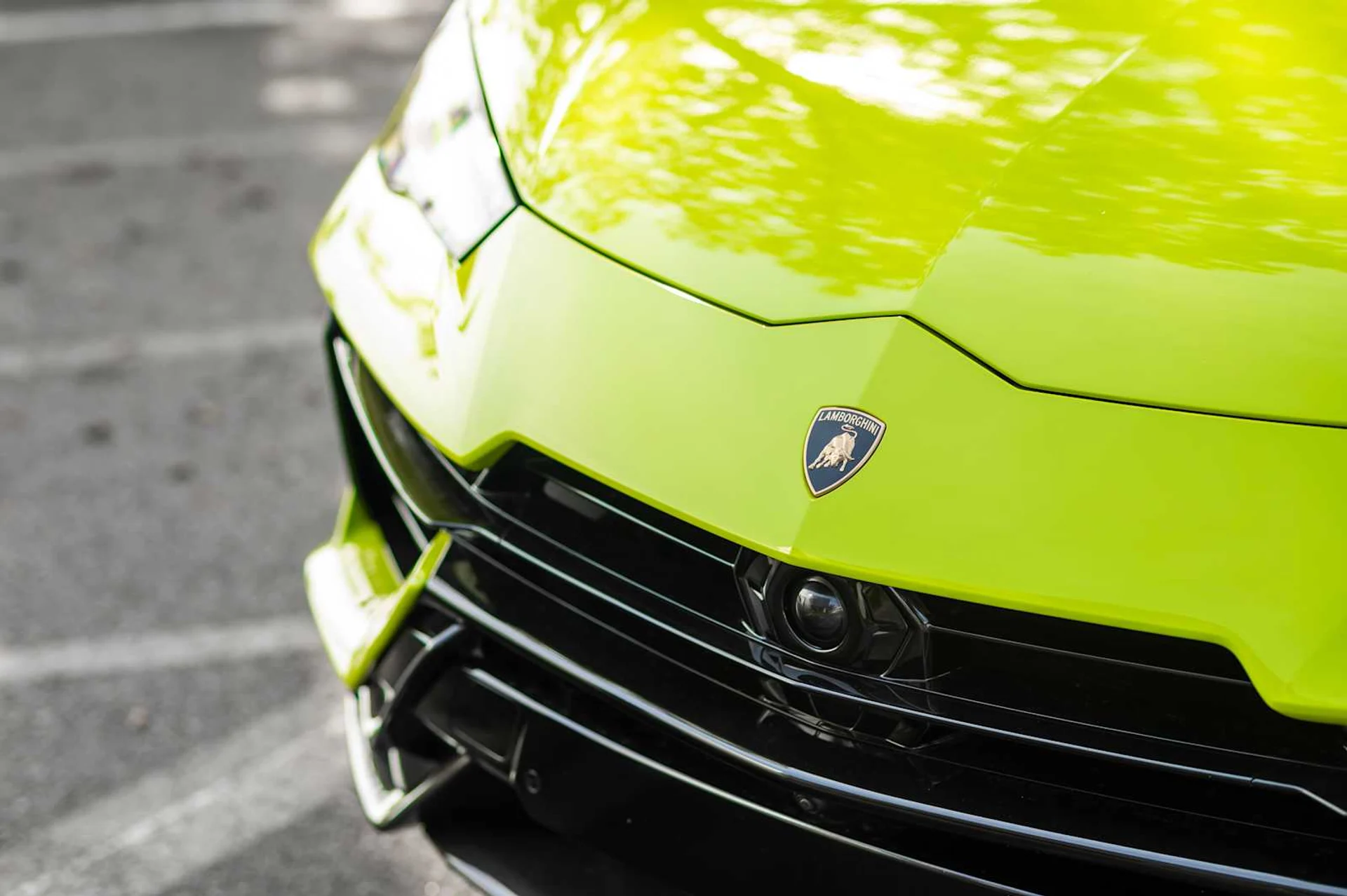 mph017_4060031542_b290de1f3eeecdc87803b3314fb73bf3x_313461f987