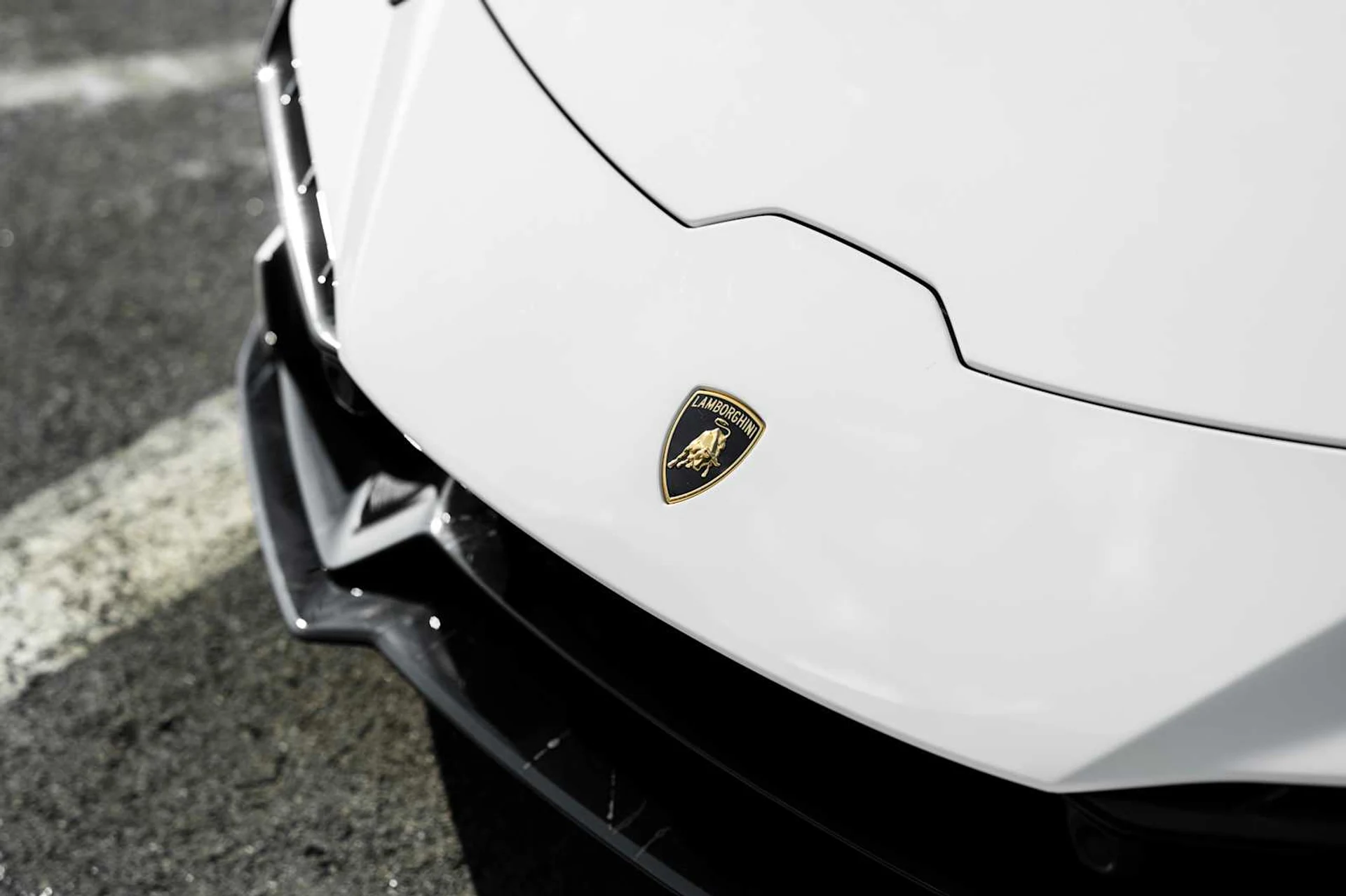 mph017_4269303790_62bcb7987b9f9787d14933737df06109x_d347037552