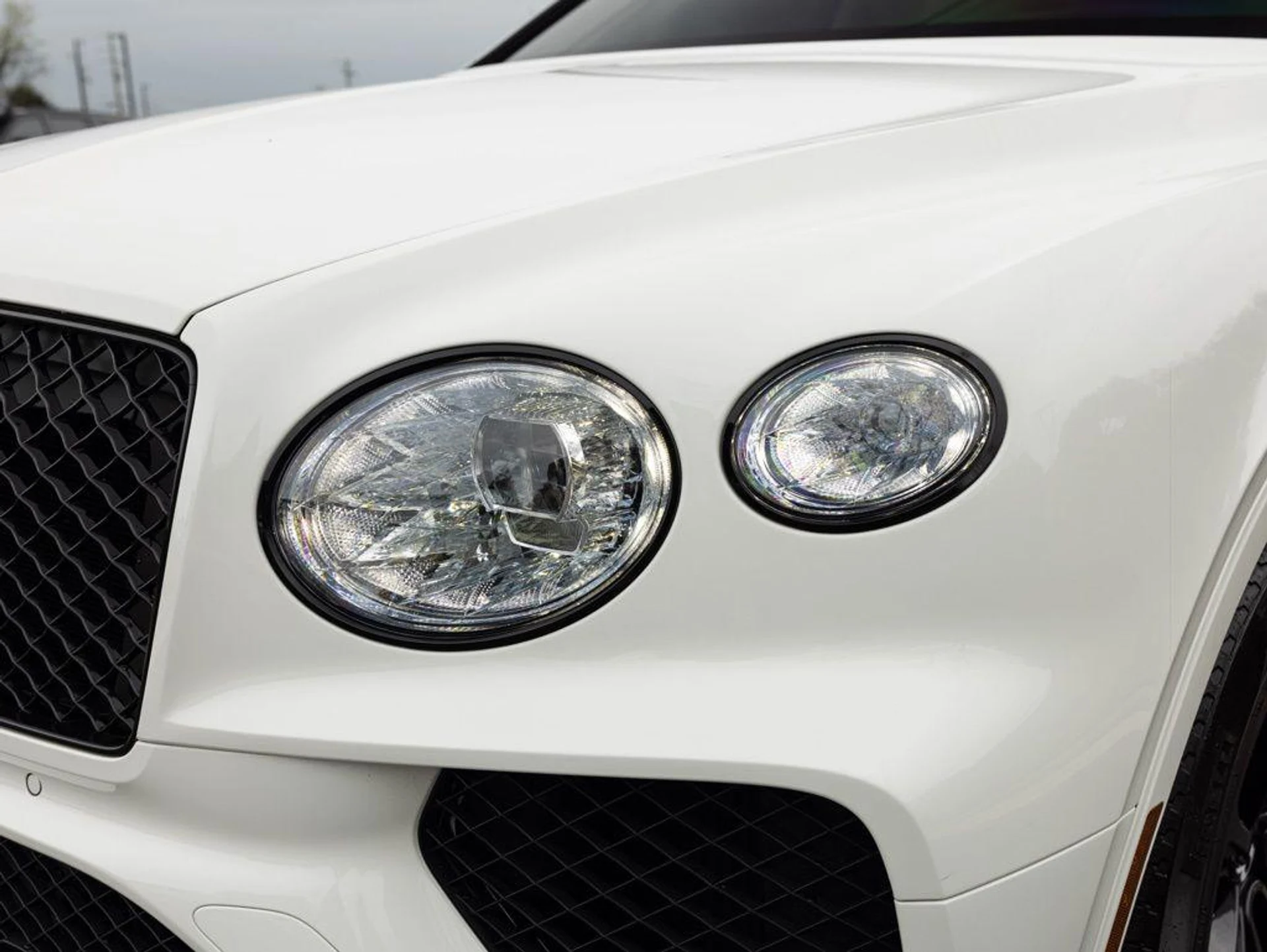 mph017_517445885_505919897_69c7d811966ffa5d8dbef1b4_72803e9890