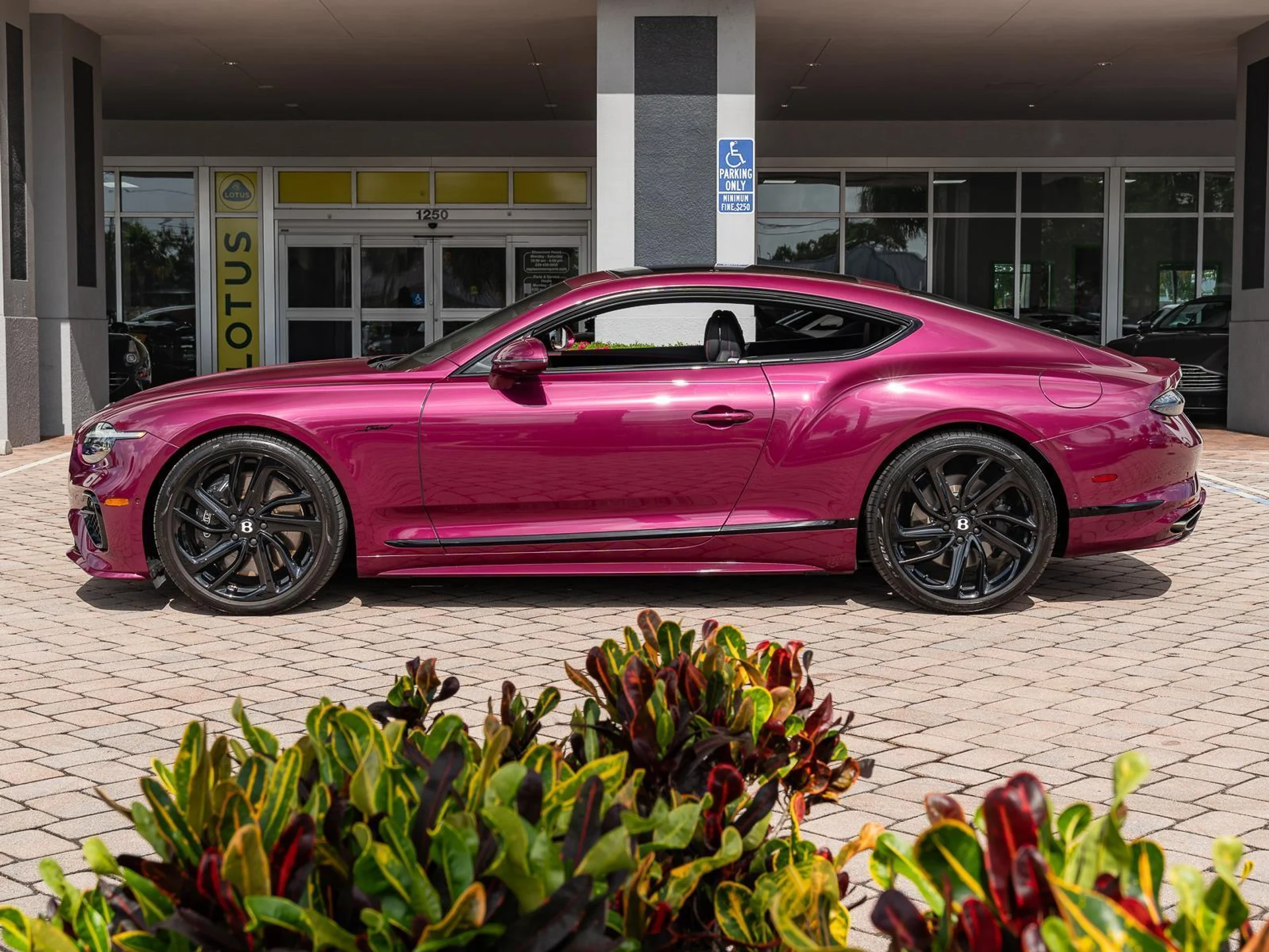 mph017_52545131_Used_2025_Bentley_Continental_GT_Speed_1779912150_690f5c9639
