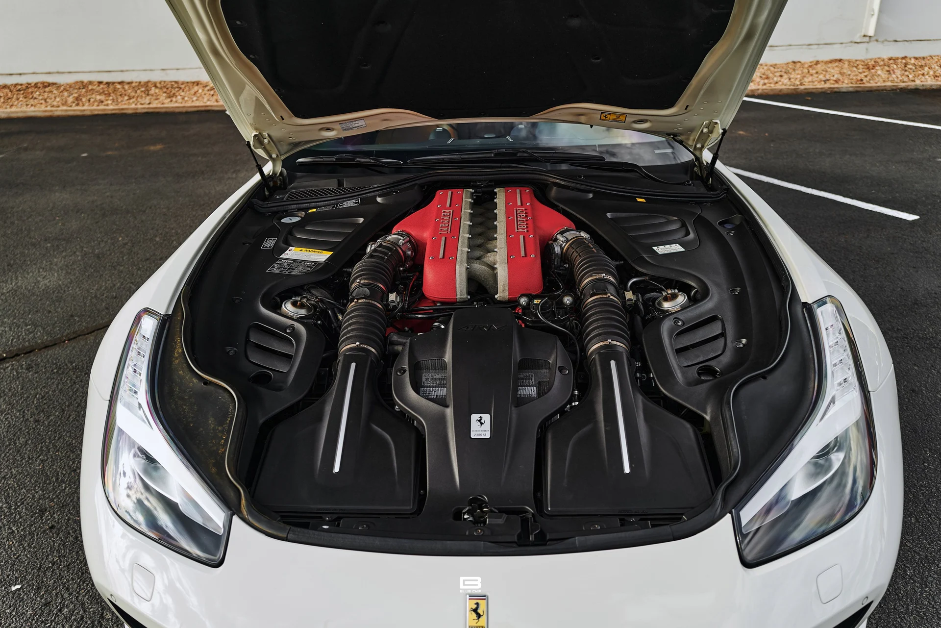 mph017_532426460_69e2a451a20c5636e06979b3_L1220505_8dacf805a1