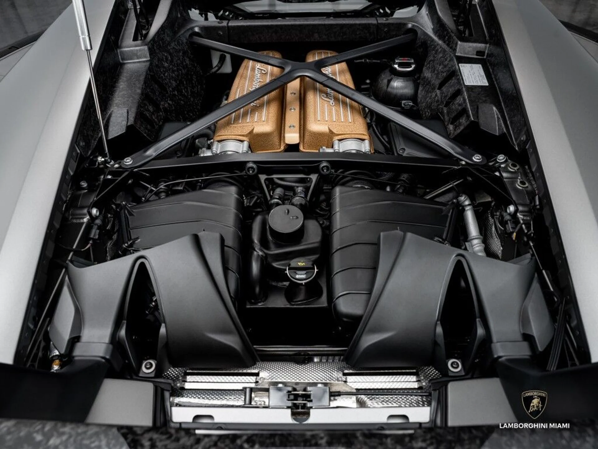 mph017_545703076_7054d31ec96cd5a187f638f4f43a9a92_5cd82c4afa