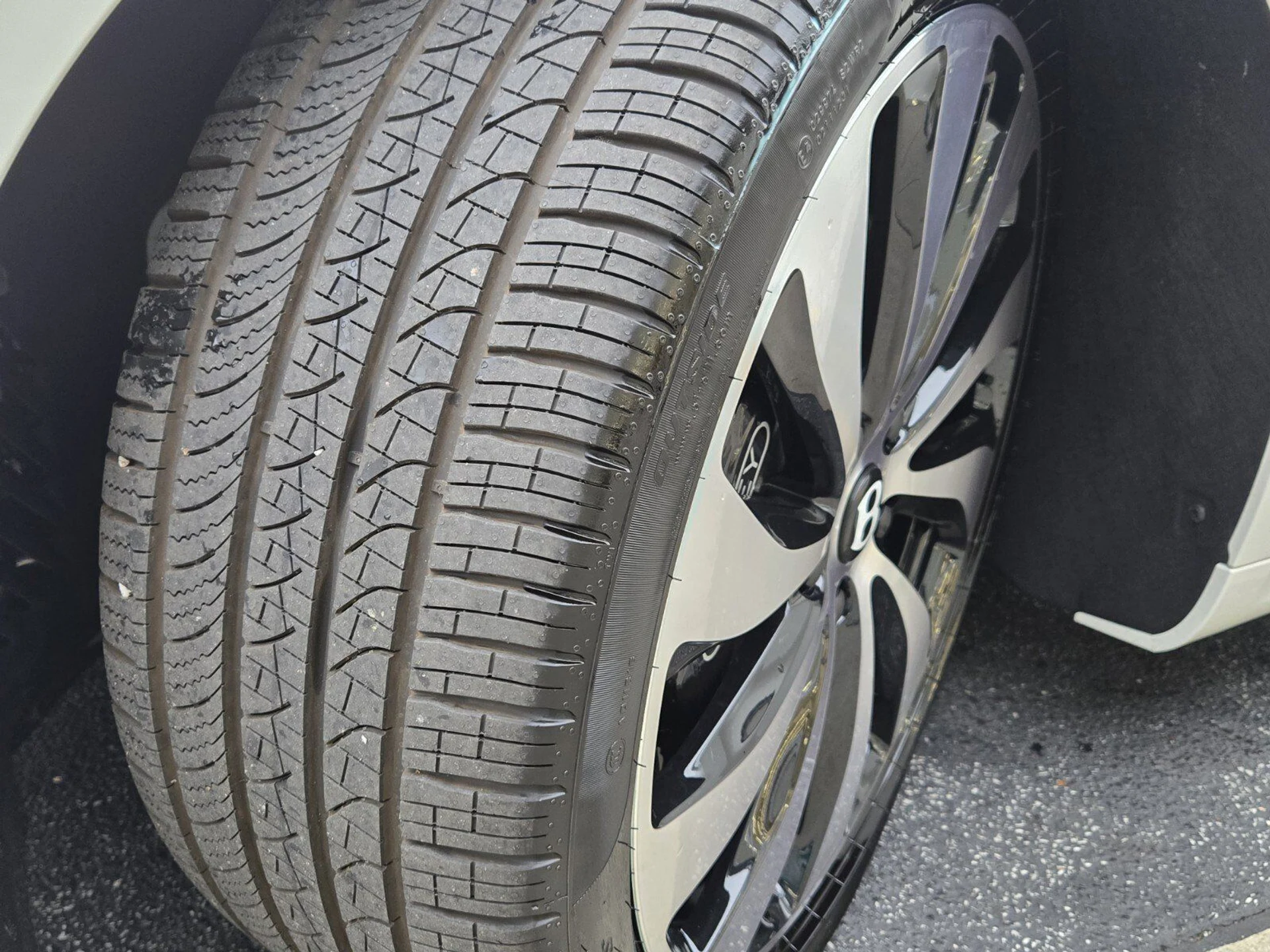 mph017_582790822_01925d5cfae84d65173925cdfd9ce1a6x_bd411e4611