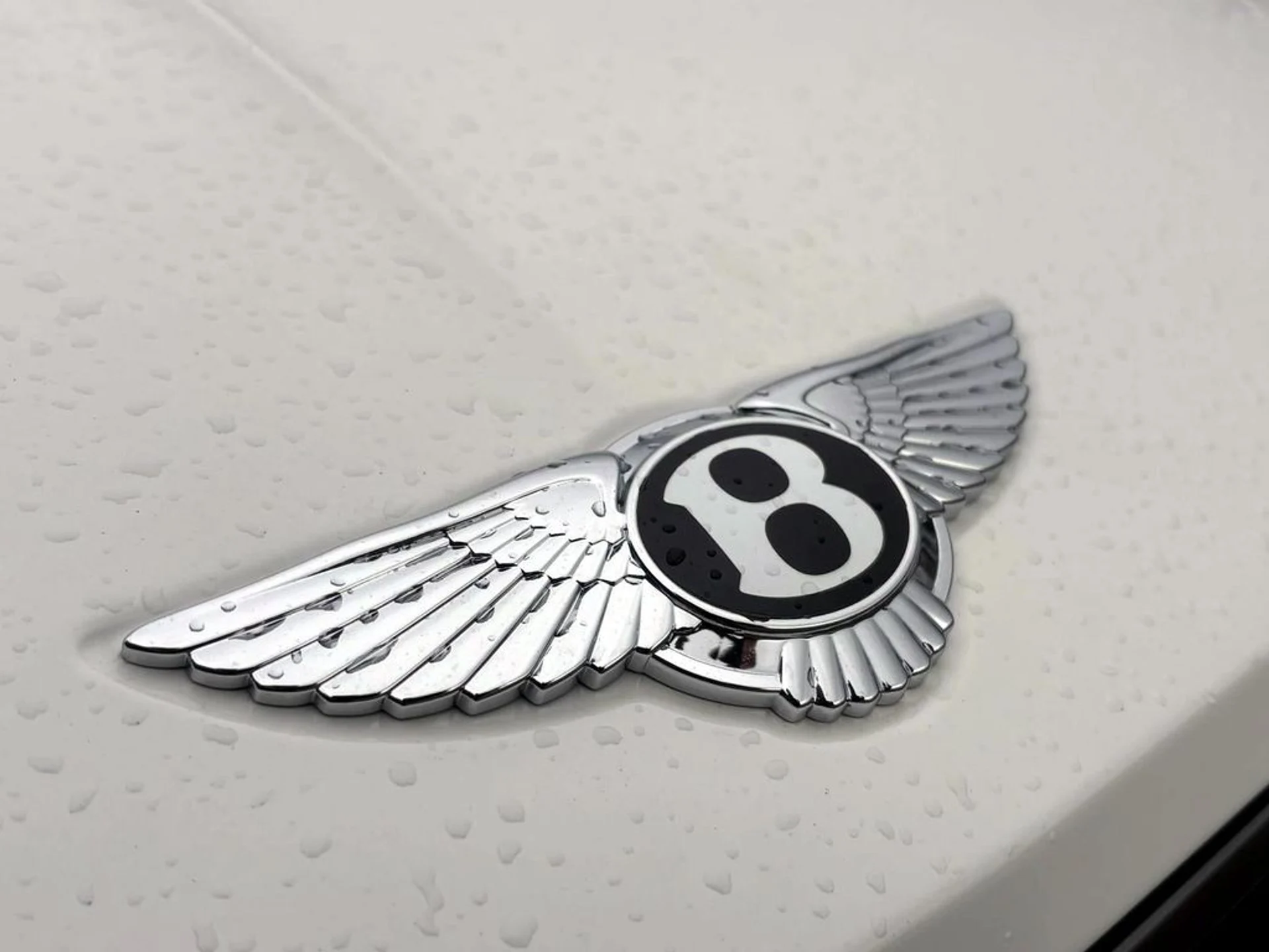 mph017_603638572_3de1f27b73ea6127a4eda405c843218ax_bc80ec9195