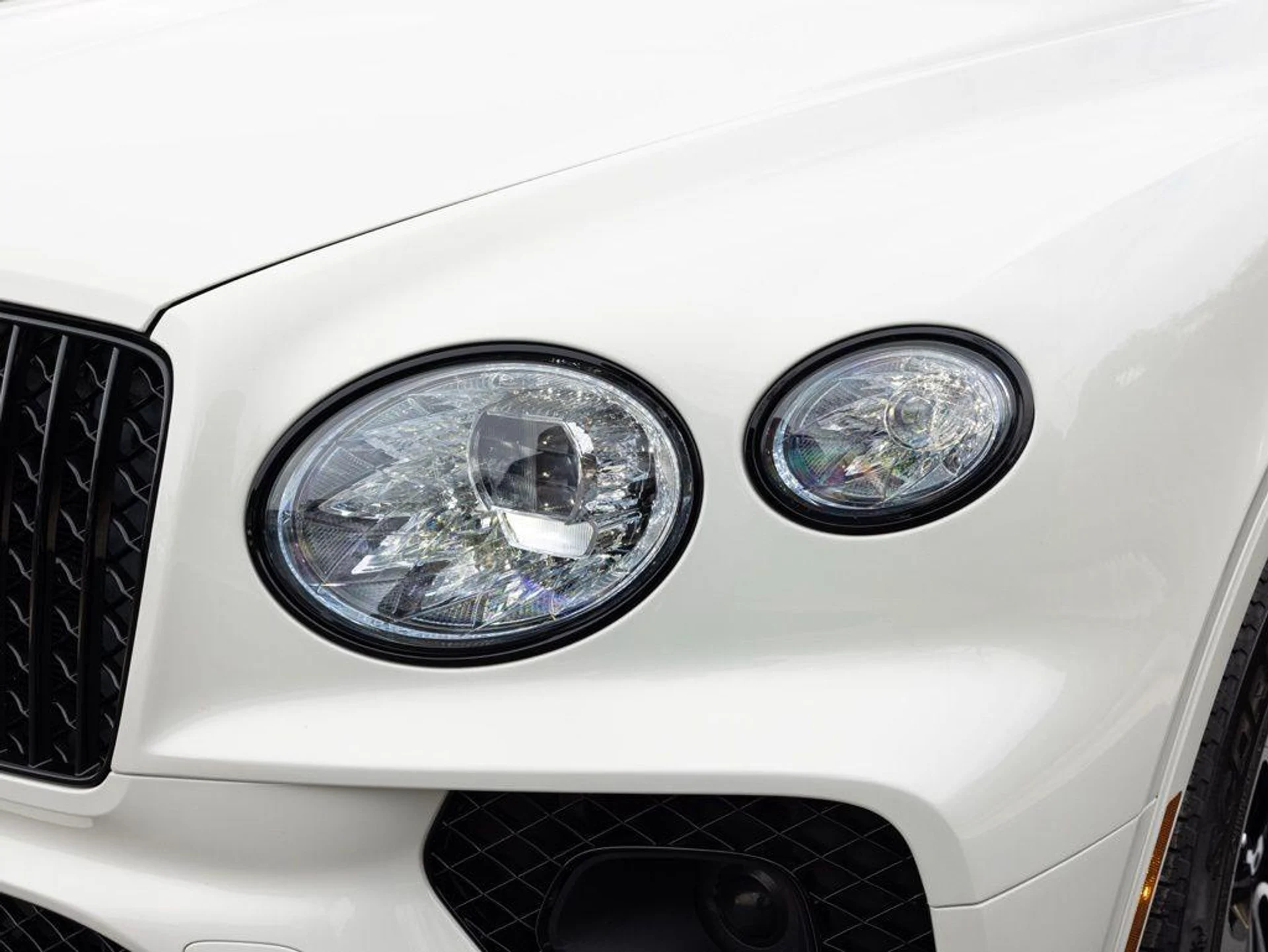 mph017_635136020_492619448_6986042f180868074e36c697_81e29aaff0