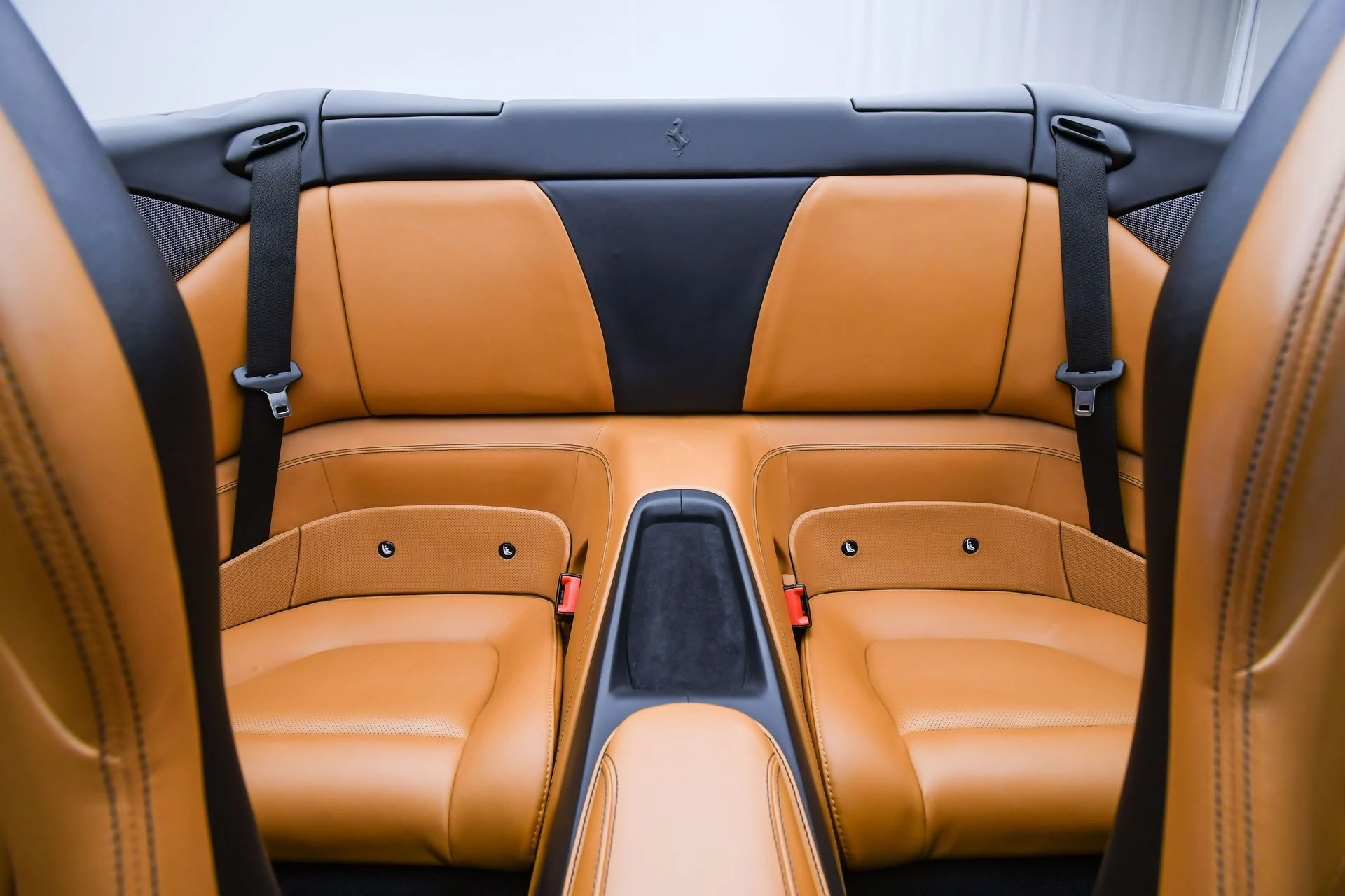 mph017_771571252_60edc982_abcc_41c9_b5d9_032e79cca4e3_45356ba2c9