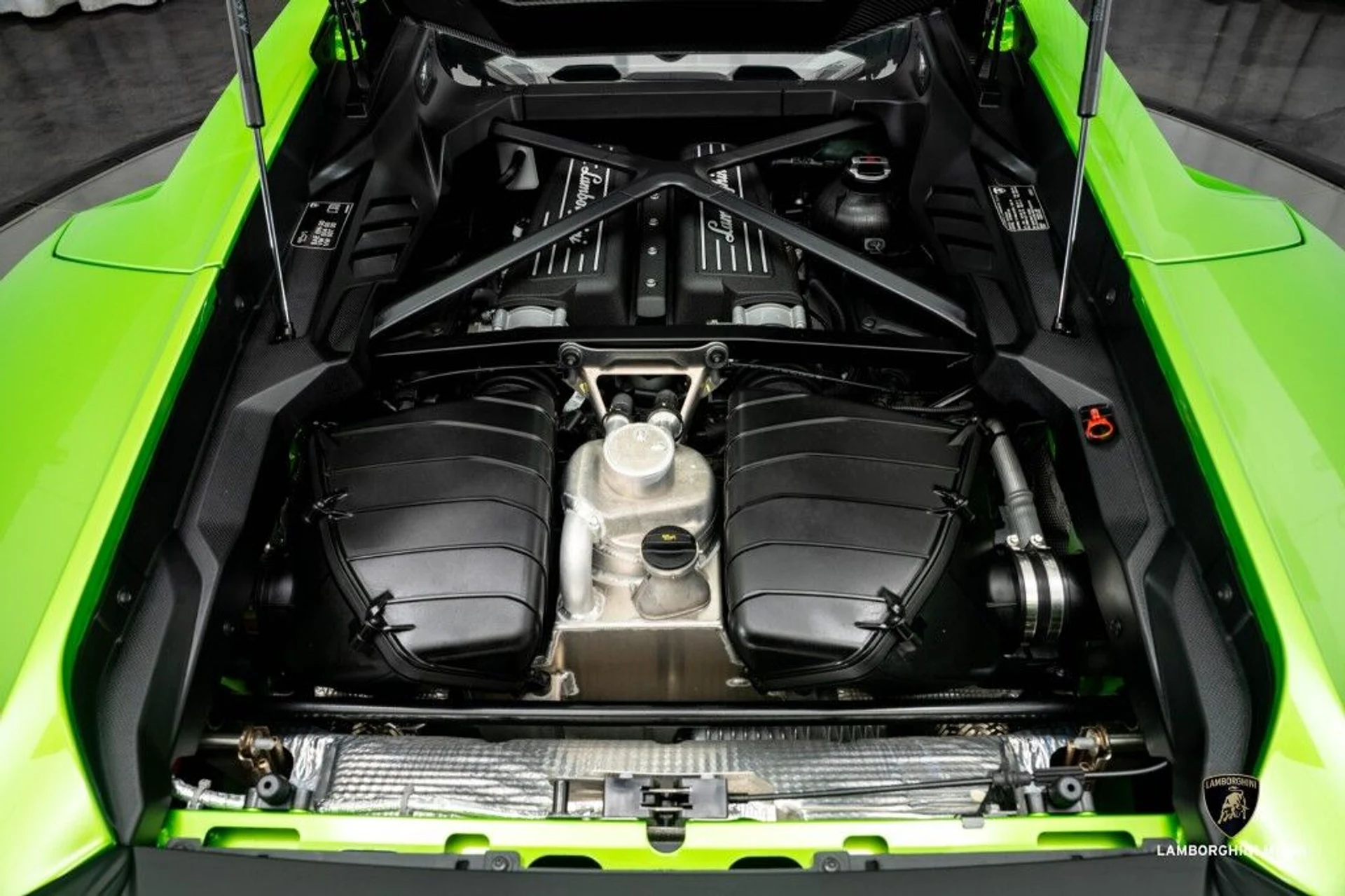 mph017_773304409_1f1a6ee042fbdf0bea477d83af738a1a_49f4ba4ad6